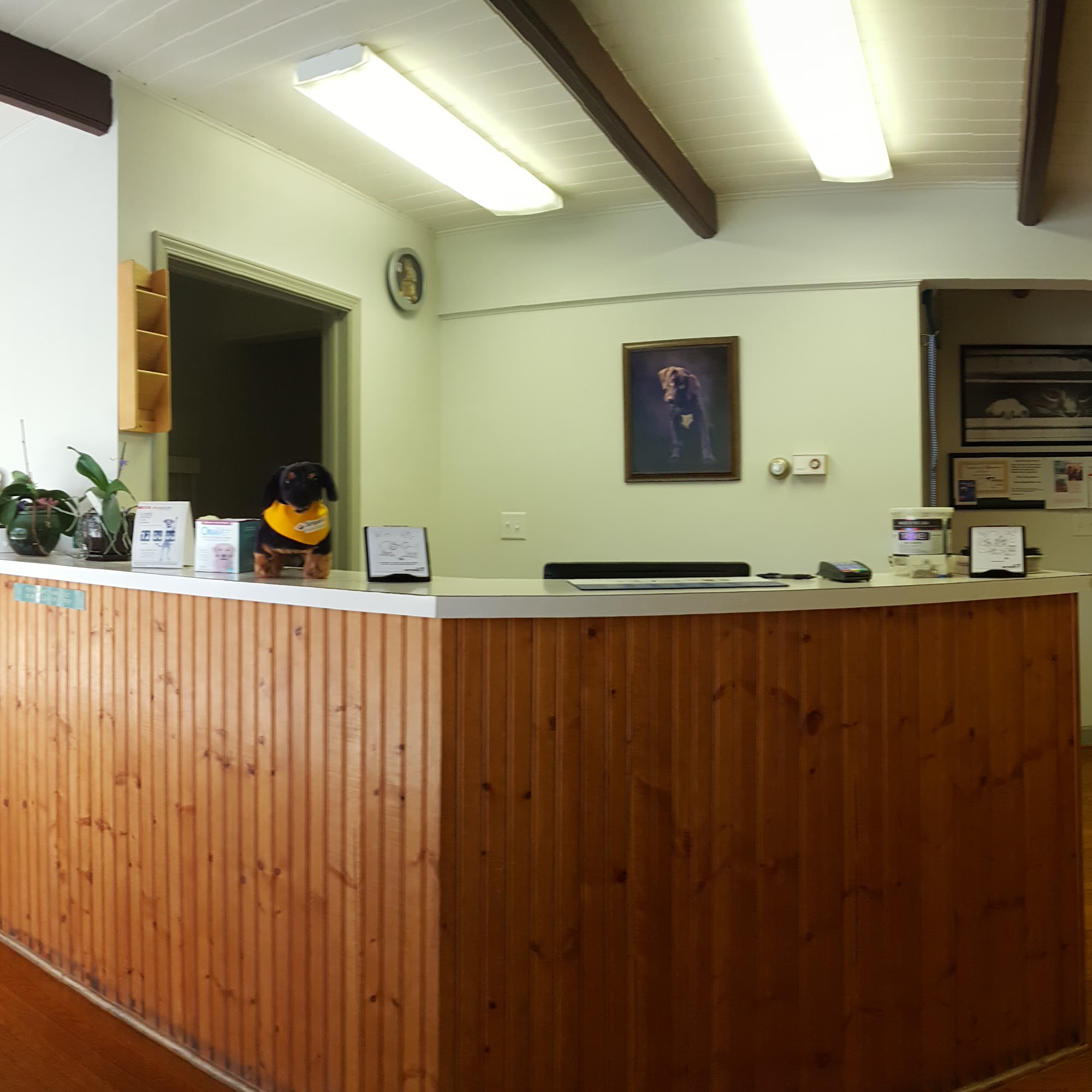 Merry Forest Animal Hospital Horse Shoe