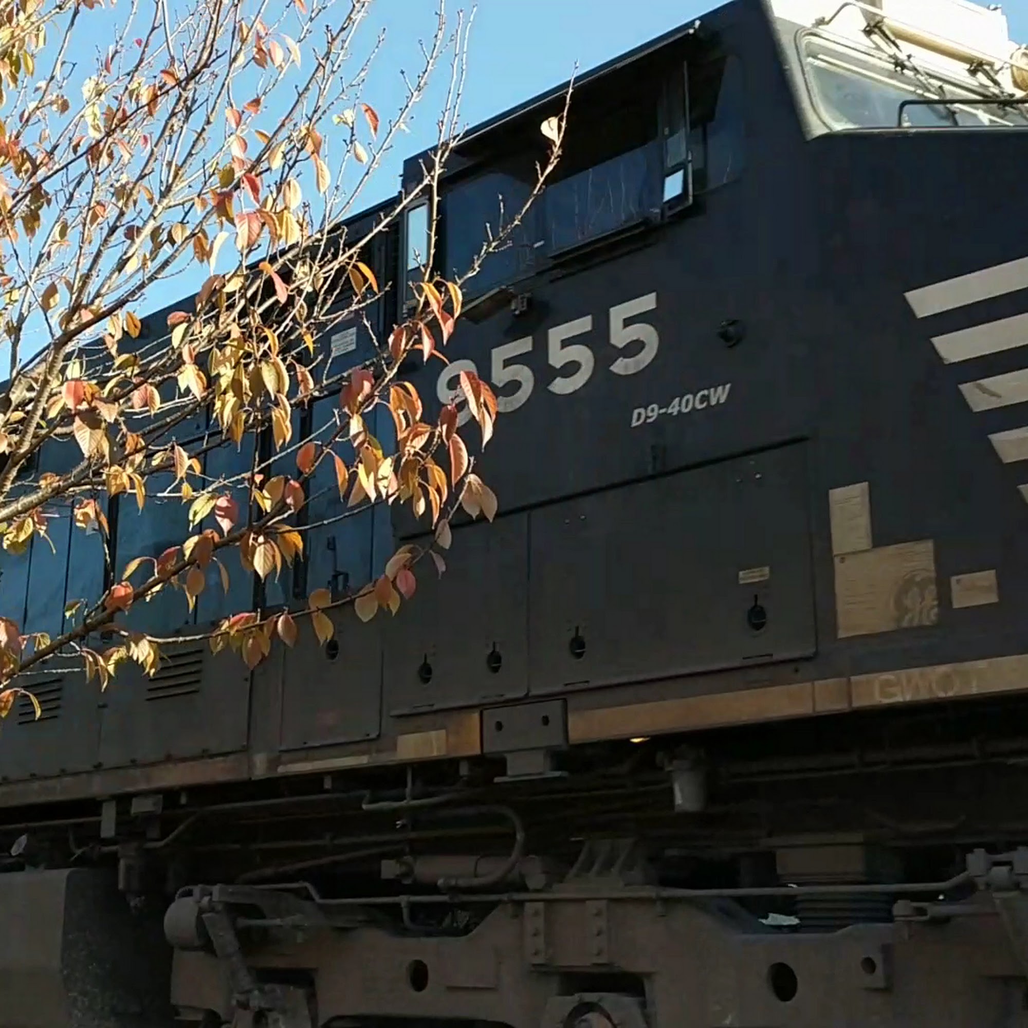 Artisun Gallery and Cafe Hot Springs