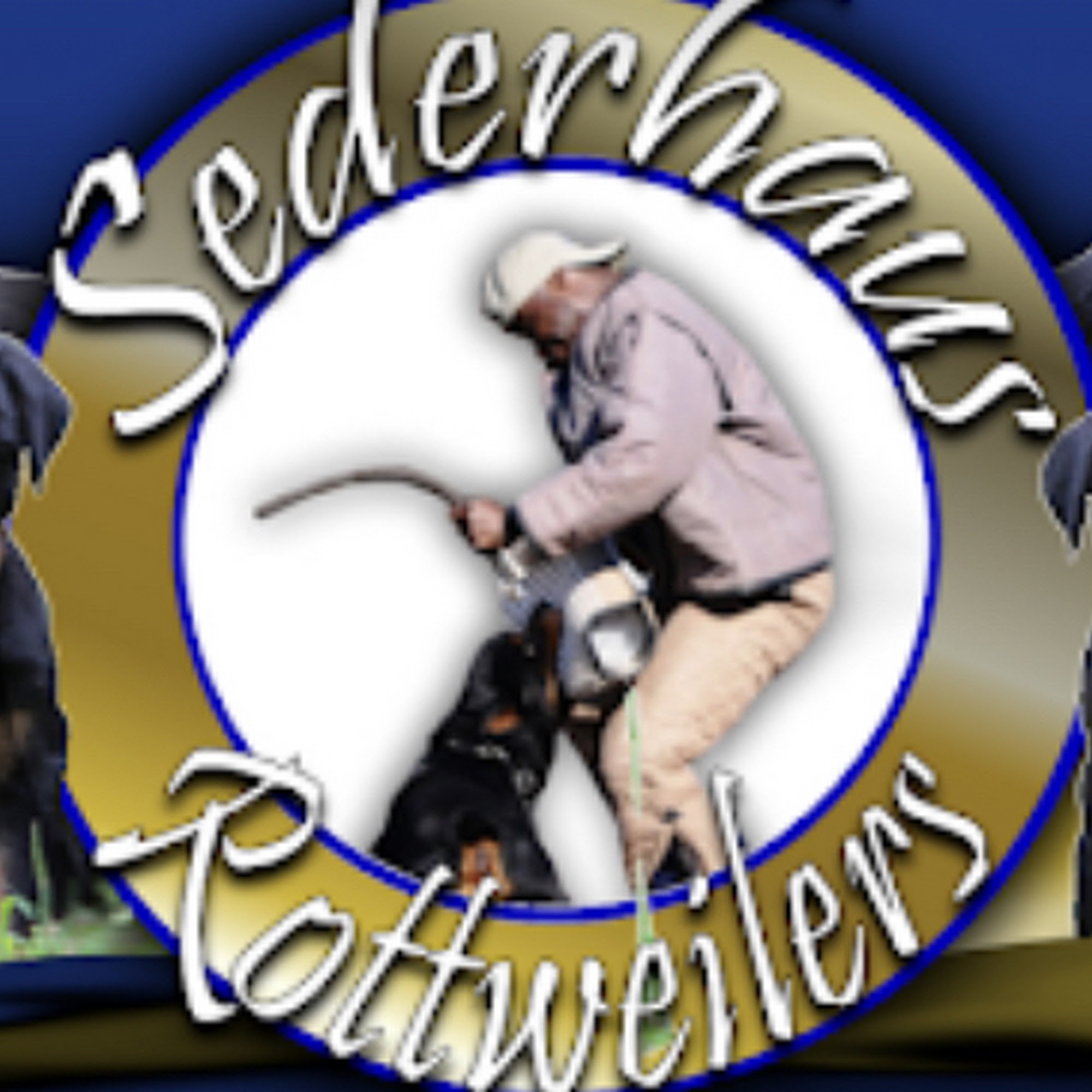 VonSederHaus Rottweiler 118 Tar Kiln Dr, Hubert North Carolina 28539