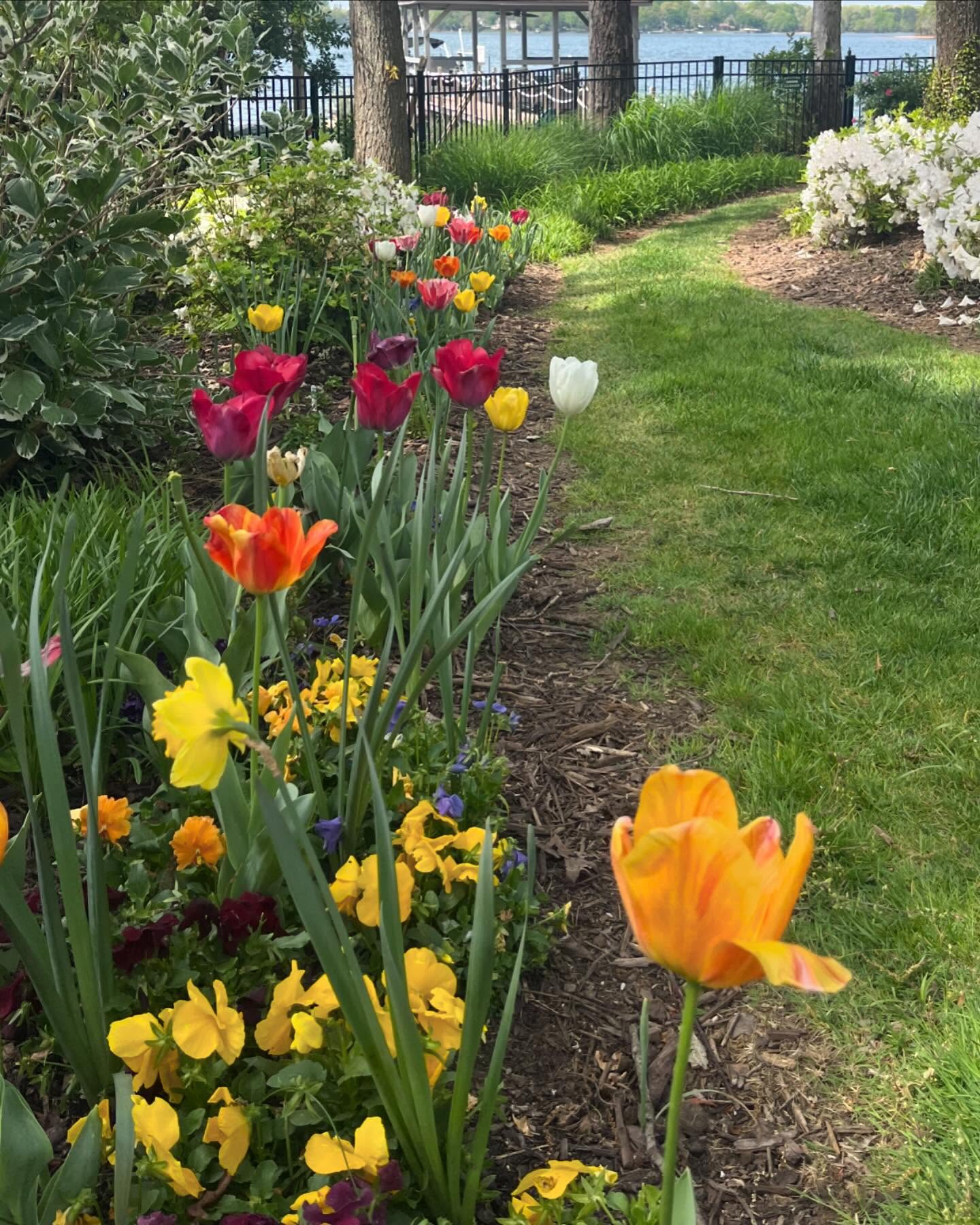 Moore's Lawn Maintenance