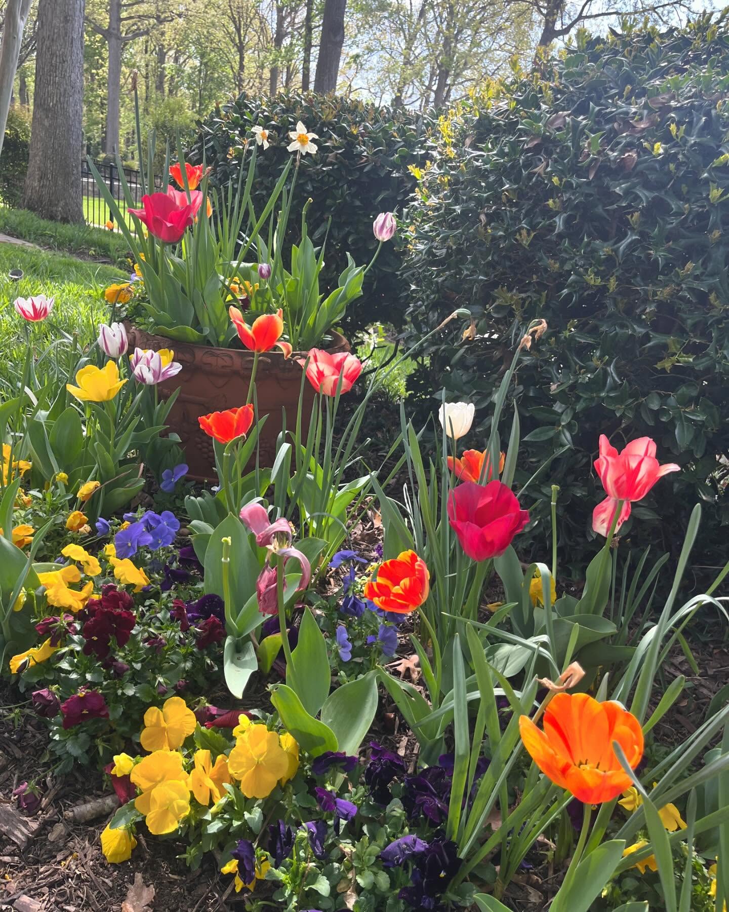 Moore's Lawn Maintenance