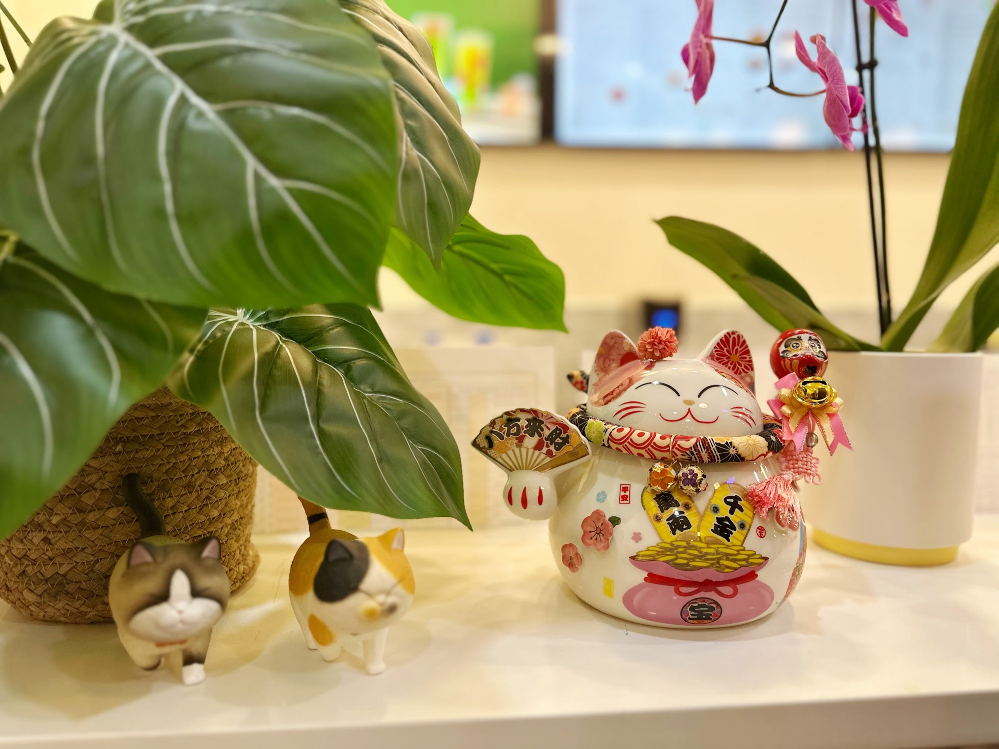 TSAOCAA 朝茶 Tea Cafe Huntersville