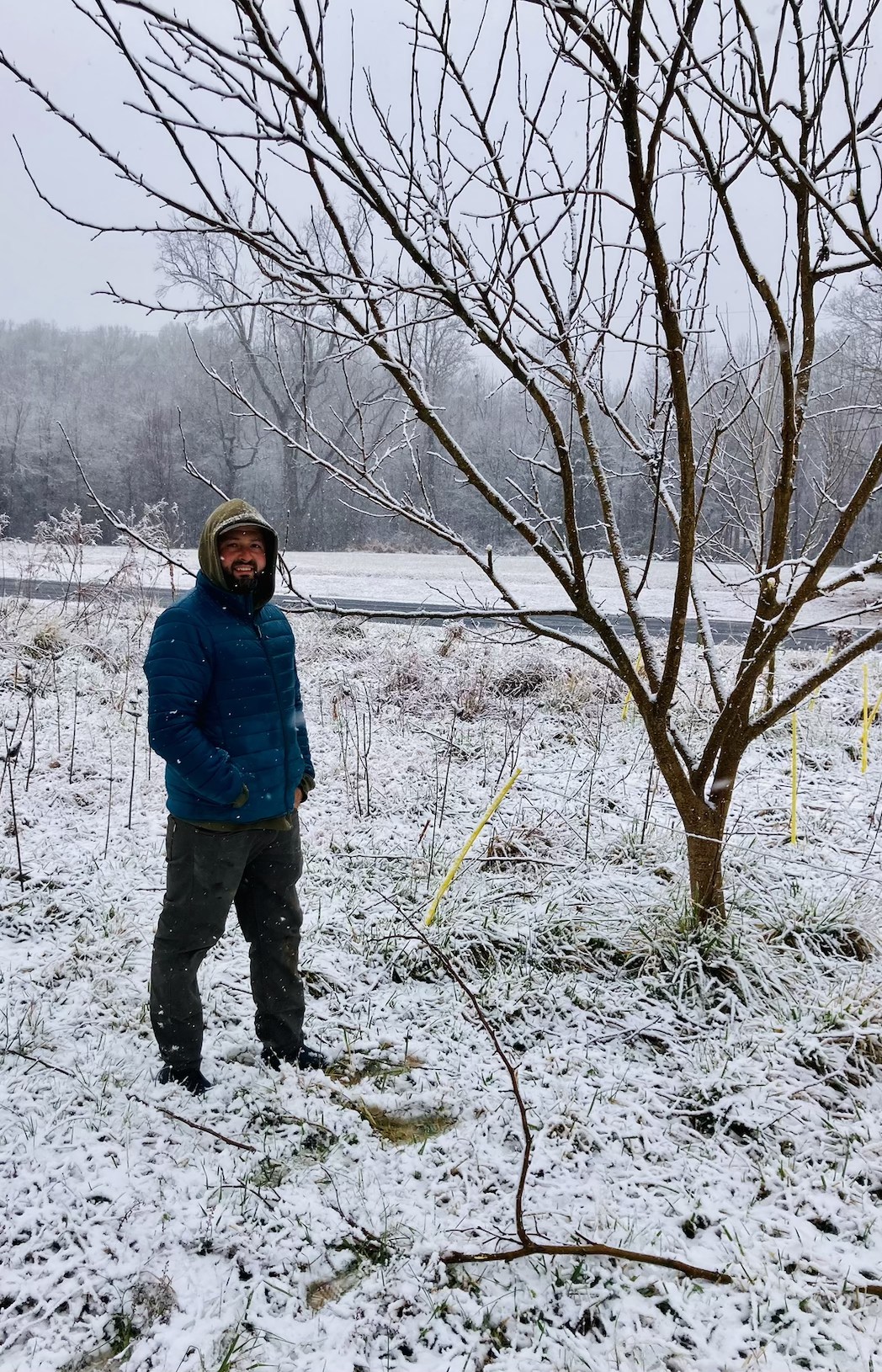 Dawnbreaker Farms Hurdle Mills