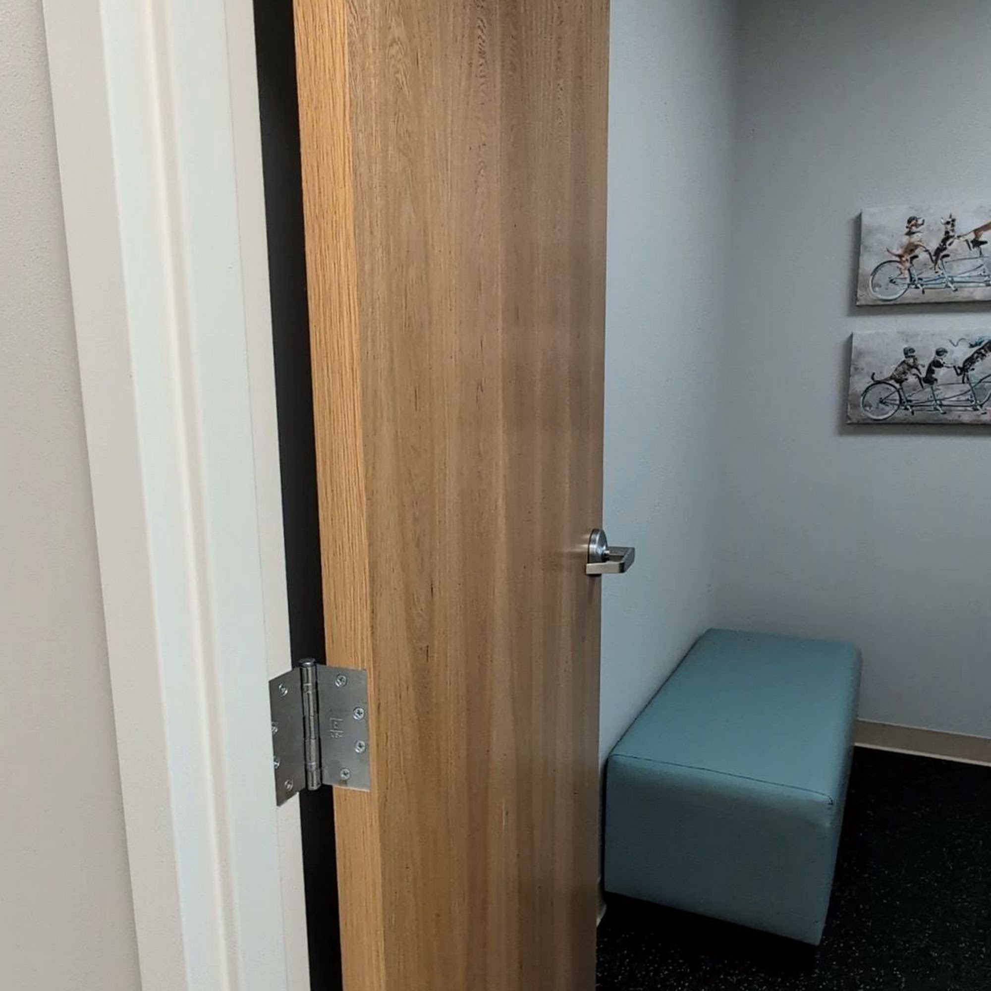 Indian Trail Animal Hospital Indian Trail