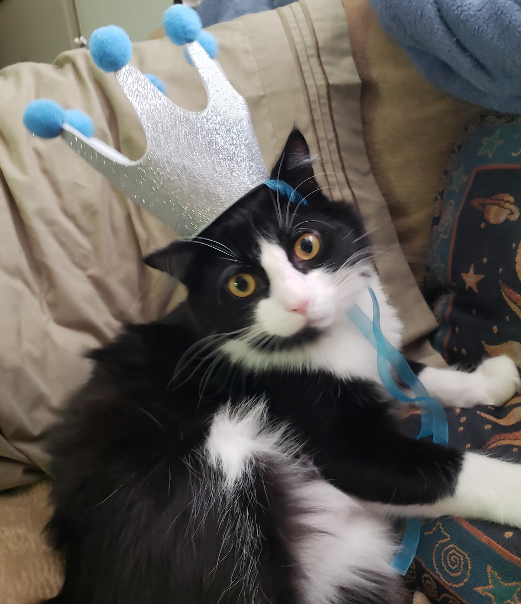 Lake Park Animal Clinic Indian Trail