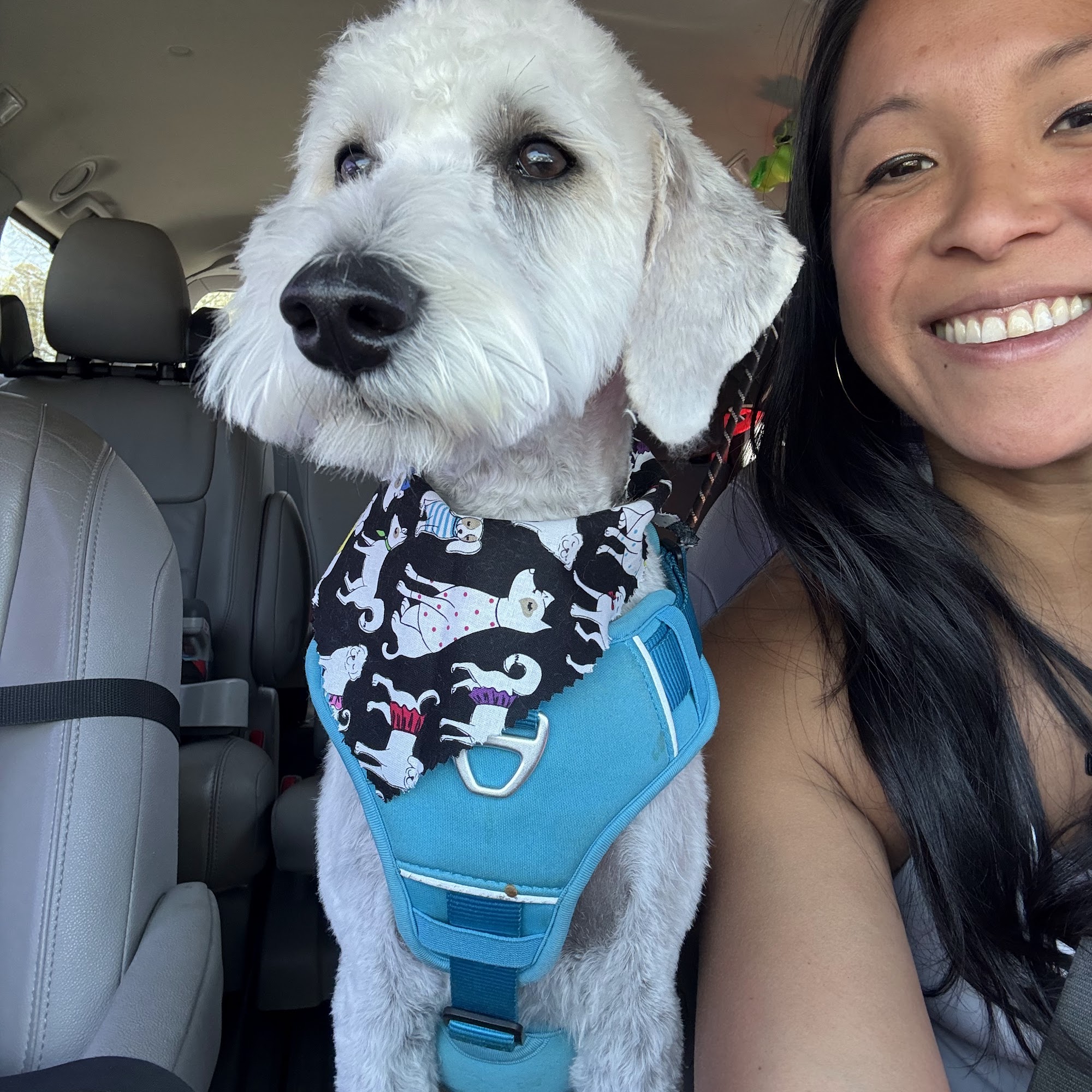 FURever Blessed Pet Salon Indian Trail