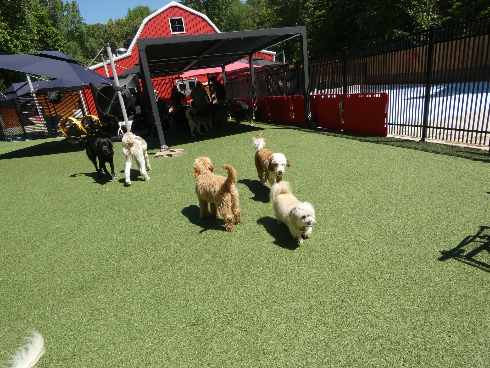 Big Red's Bed & Biscuit Indian Trail