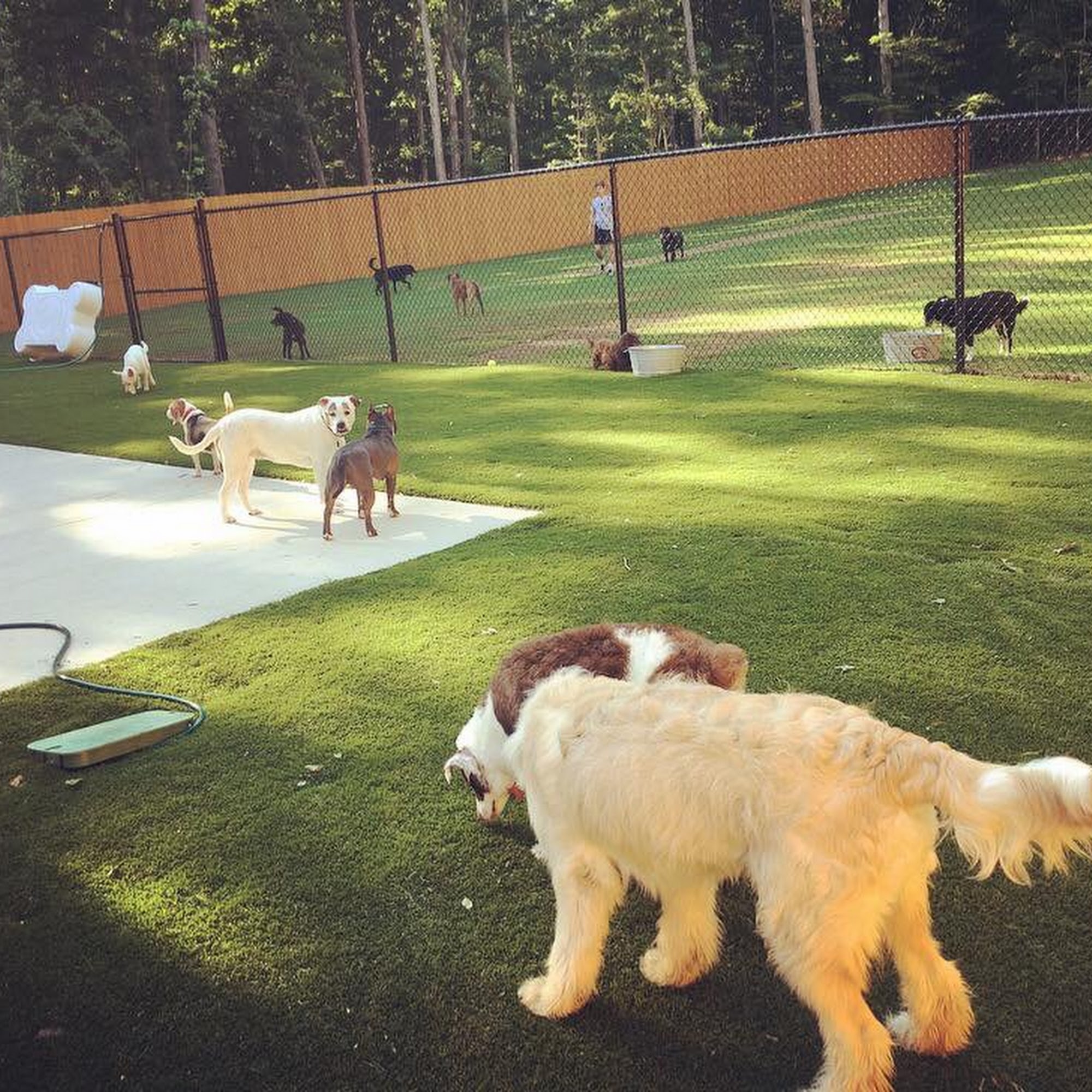 Big Red's Bed & Biscuit Indian Trail