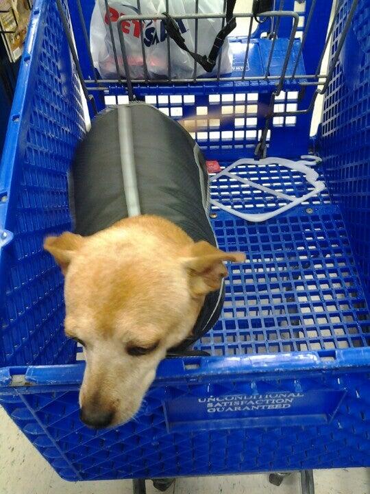 PetSmart Jacksonville