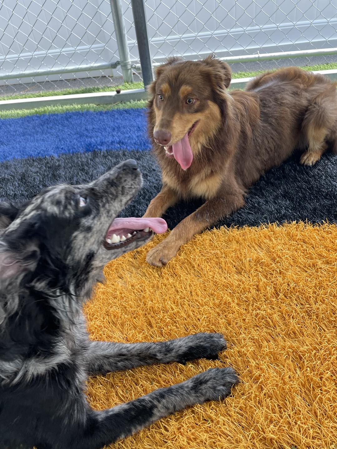 Buddies, Inc. Jacksonville