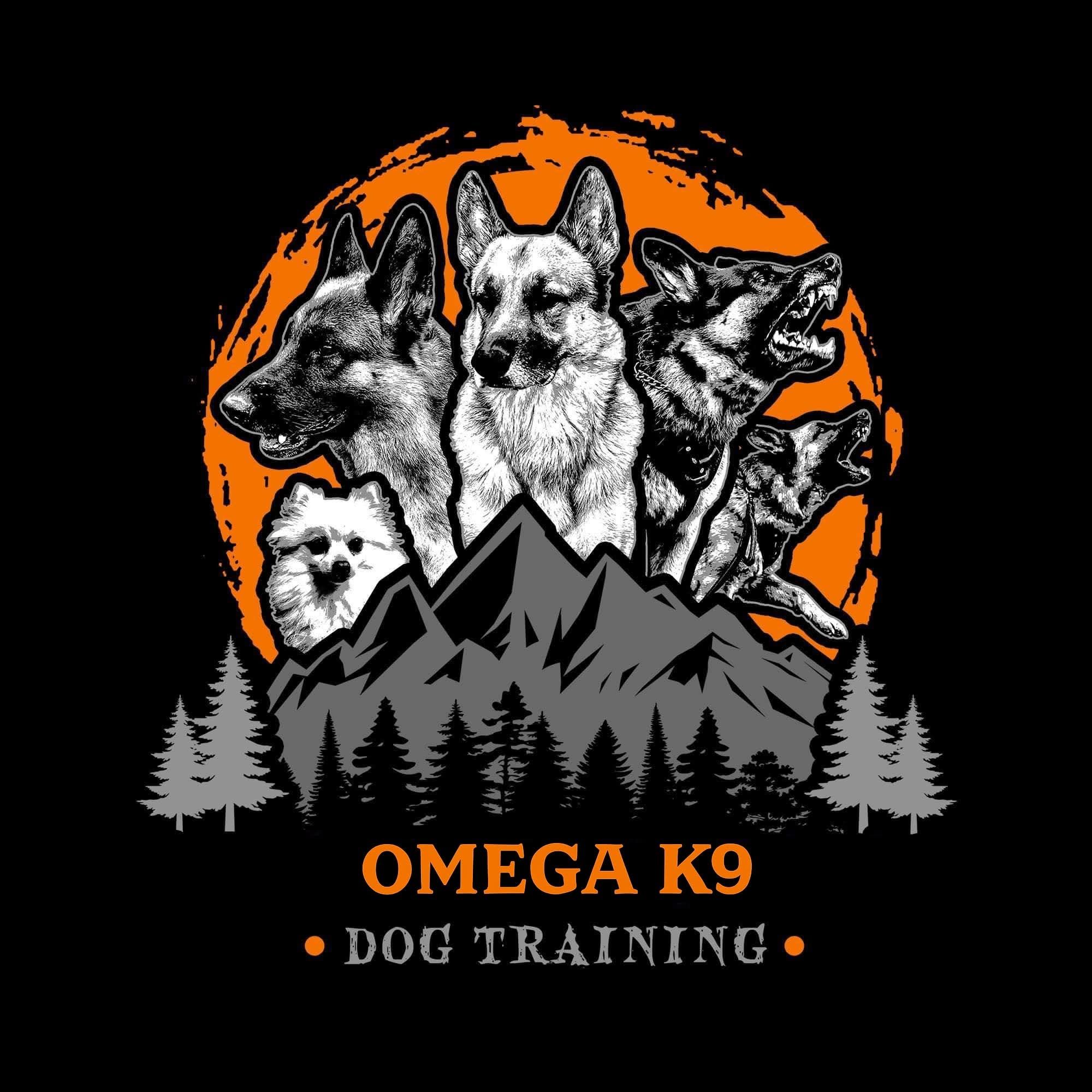 The Matson Pack Dog Training Jacksonville