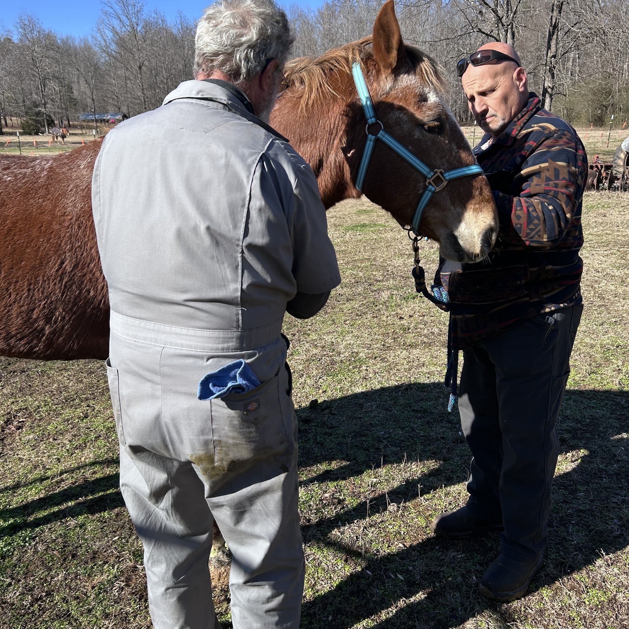 Rocky River Large Animal Veterinary Clinic Kannapolis
