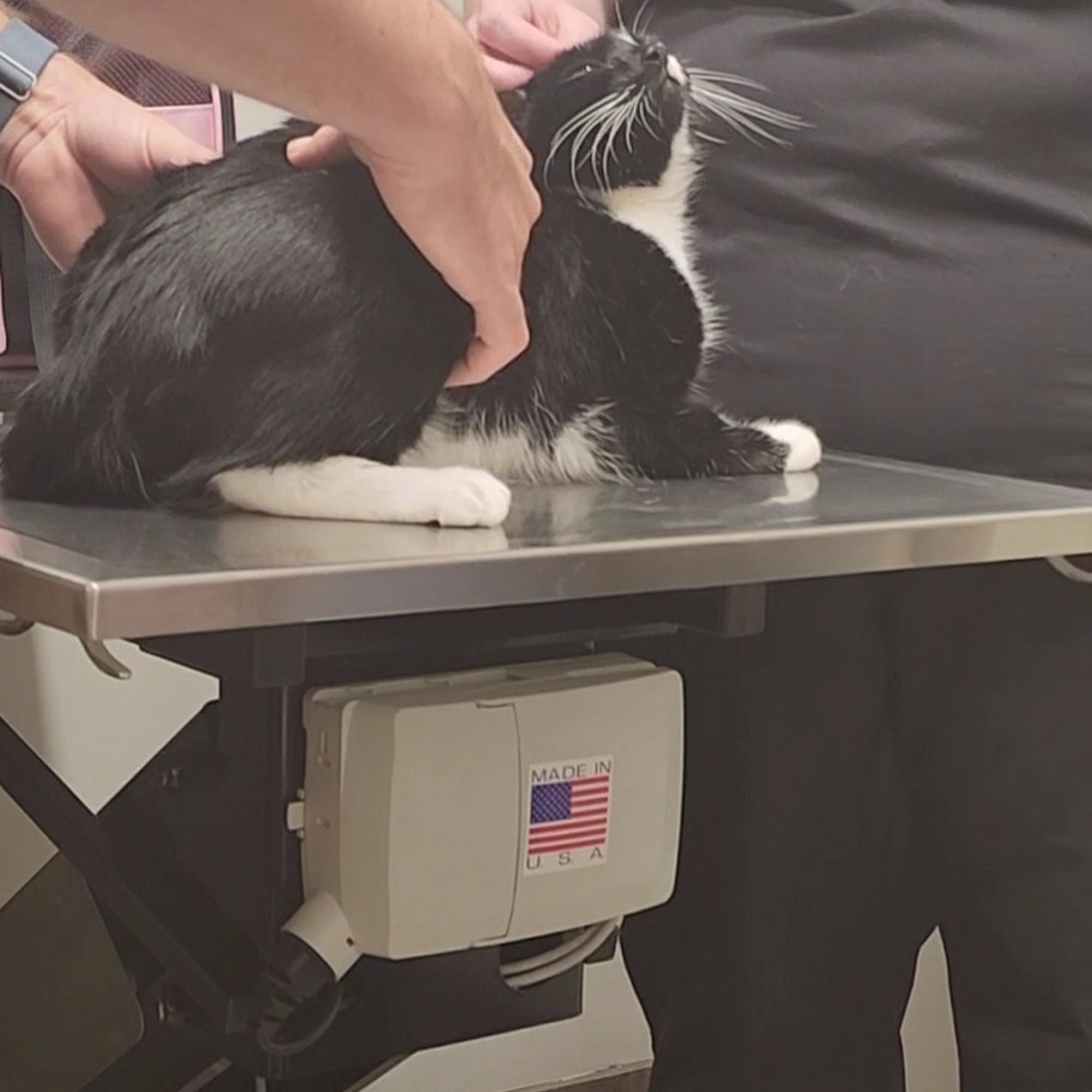 Hopkins Road Animal Hospital Kernersville