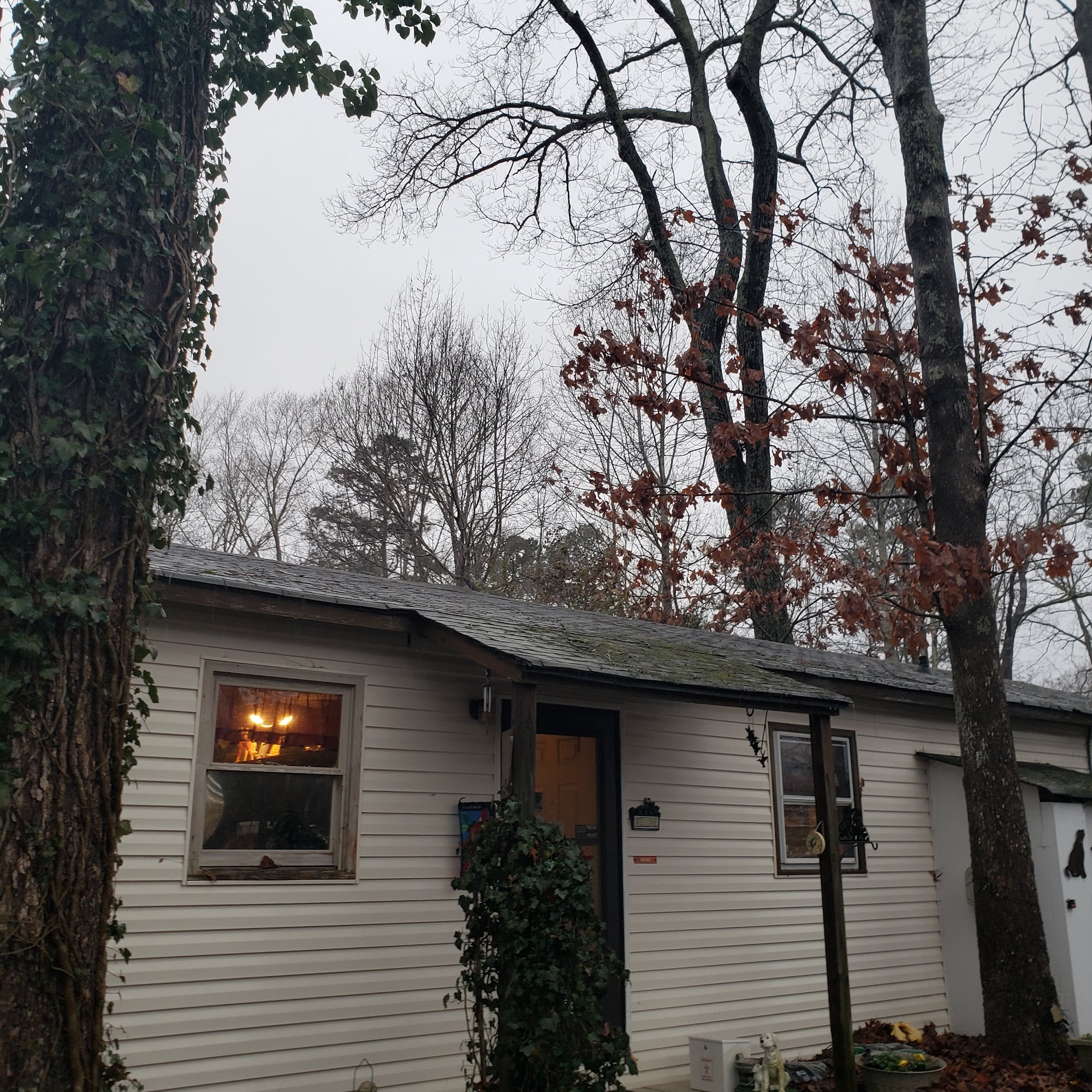 Dr. Roger DeHaan Kings Mountain