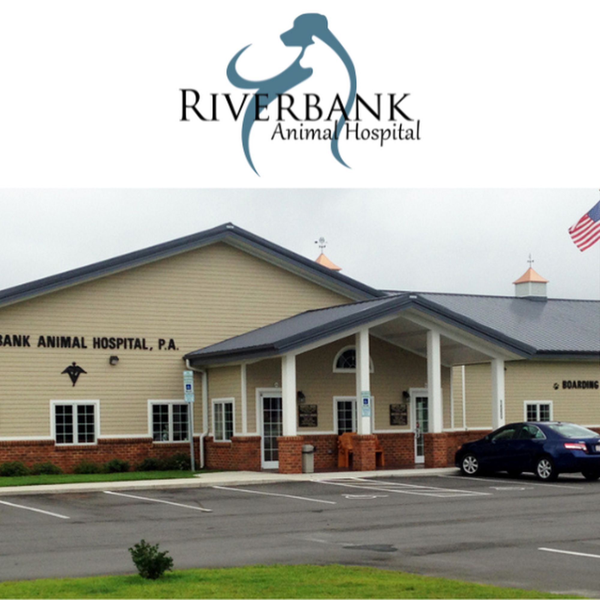 Riverbank Animal Hospital P.A. Kinston