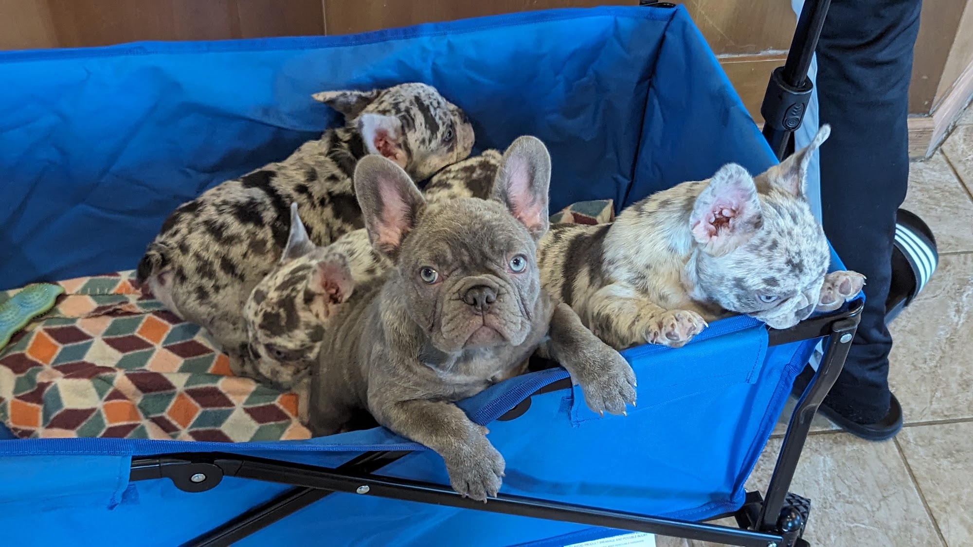 Riverbank Animal Hospital P.A. Kinston