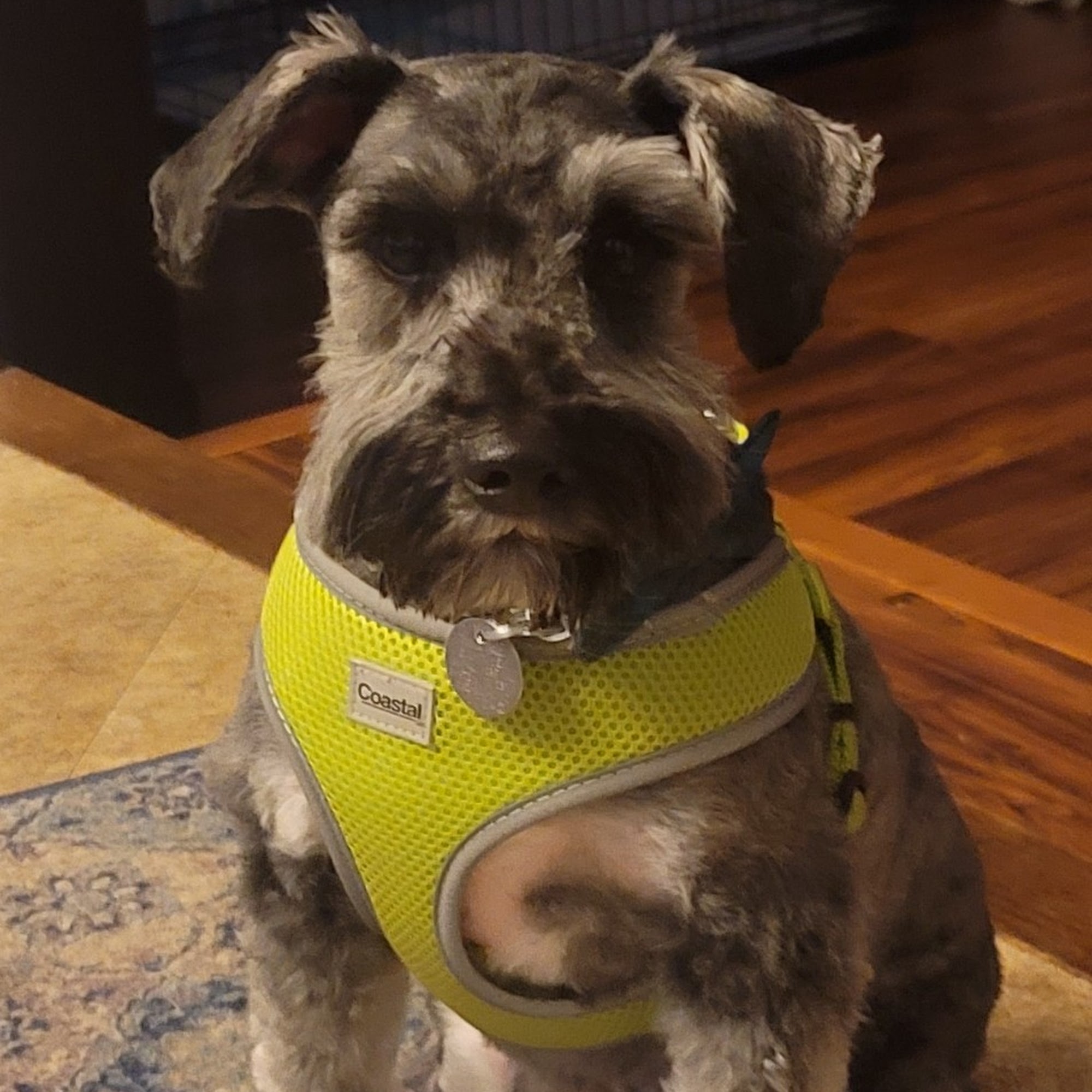 Countryview Animal Hospital Kinston