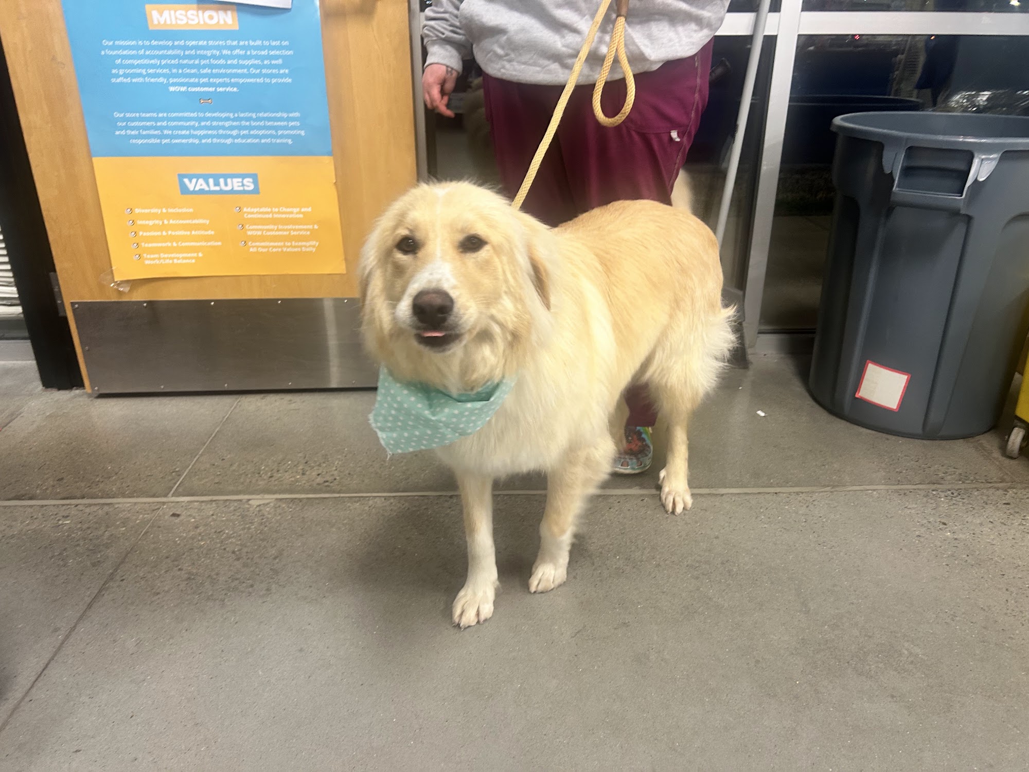 Lenoir County SPCA Kinston