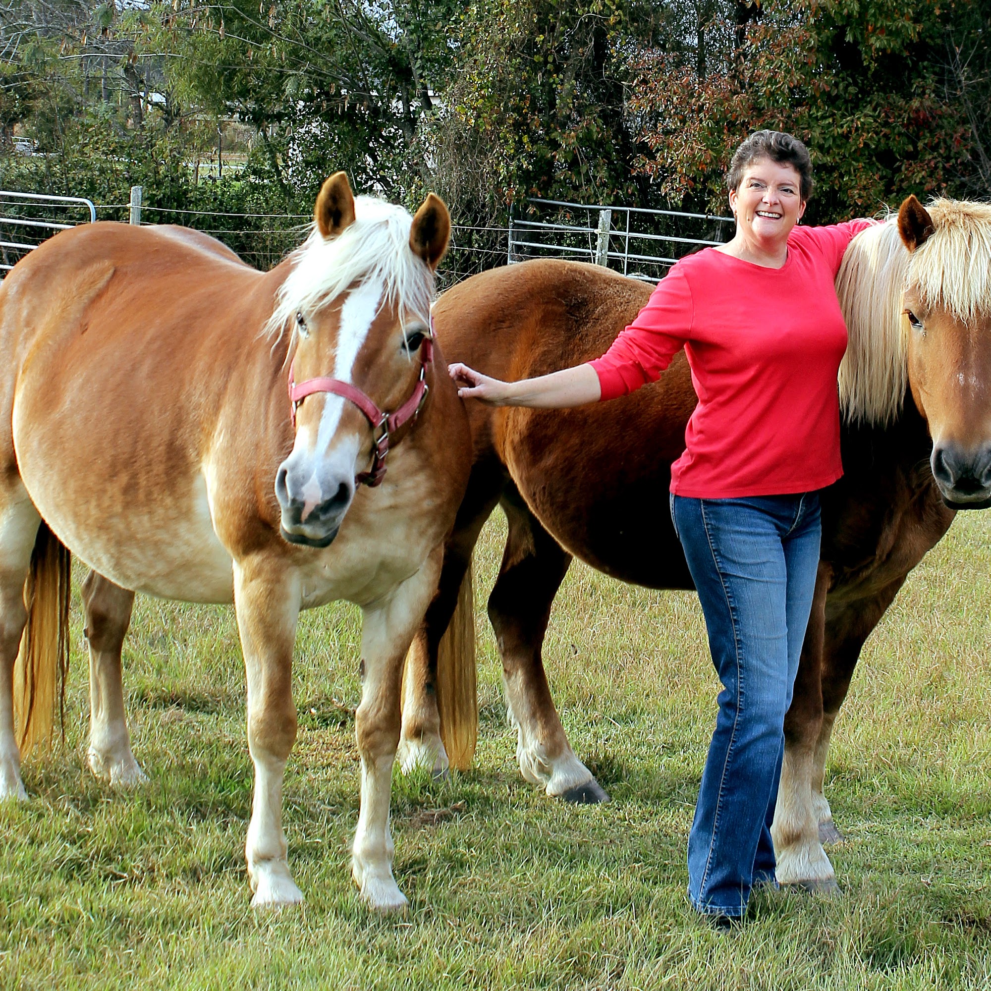 Institute Mobile Veterinary La Grange