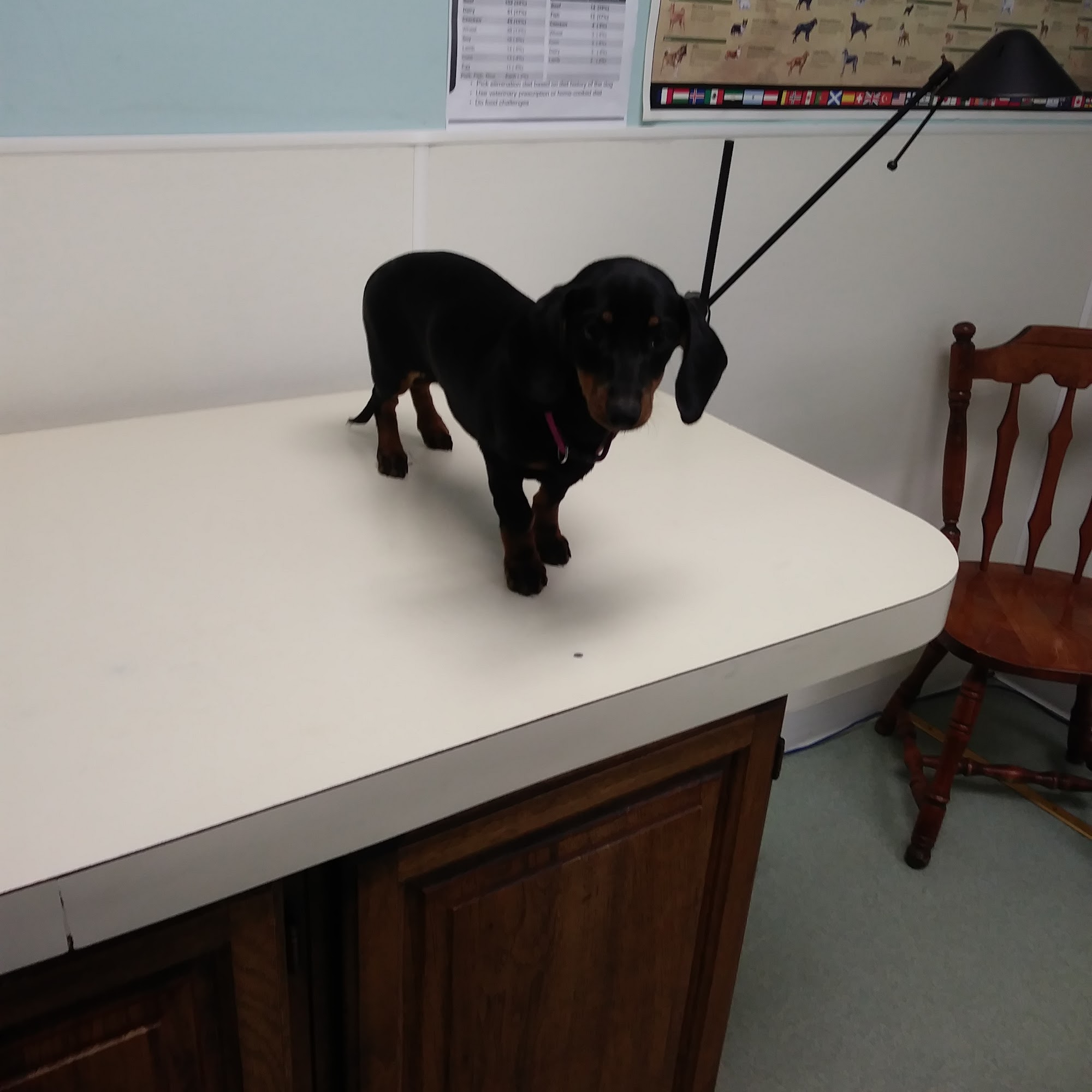 X-Way Road Animal Hospital Laurinburg