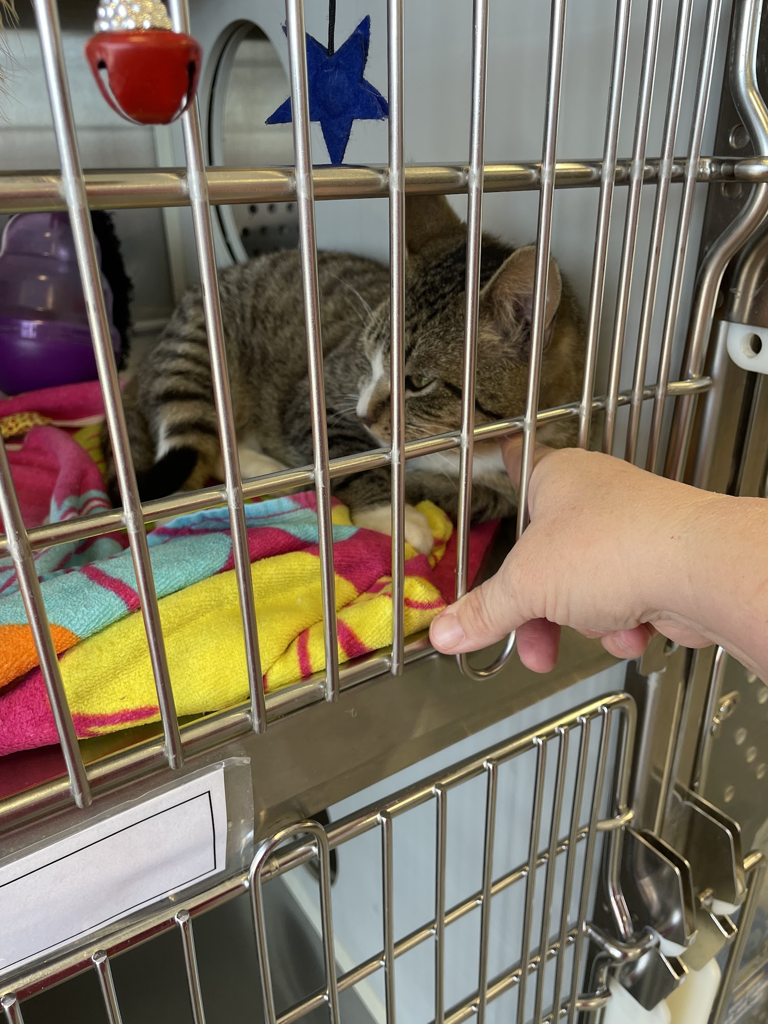Petsense by Tractor Supply Laurinburg