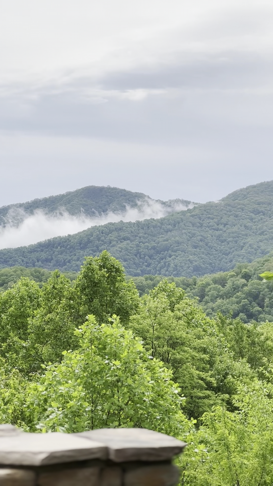 Sri Somesvara Temple - Cafeteria Menu