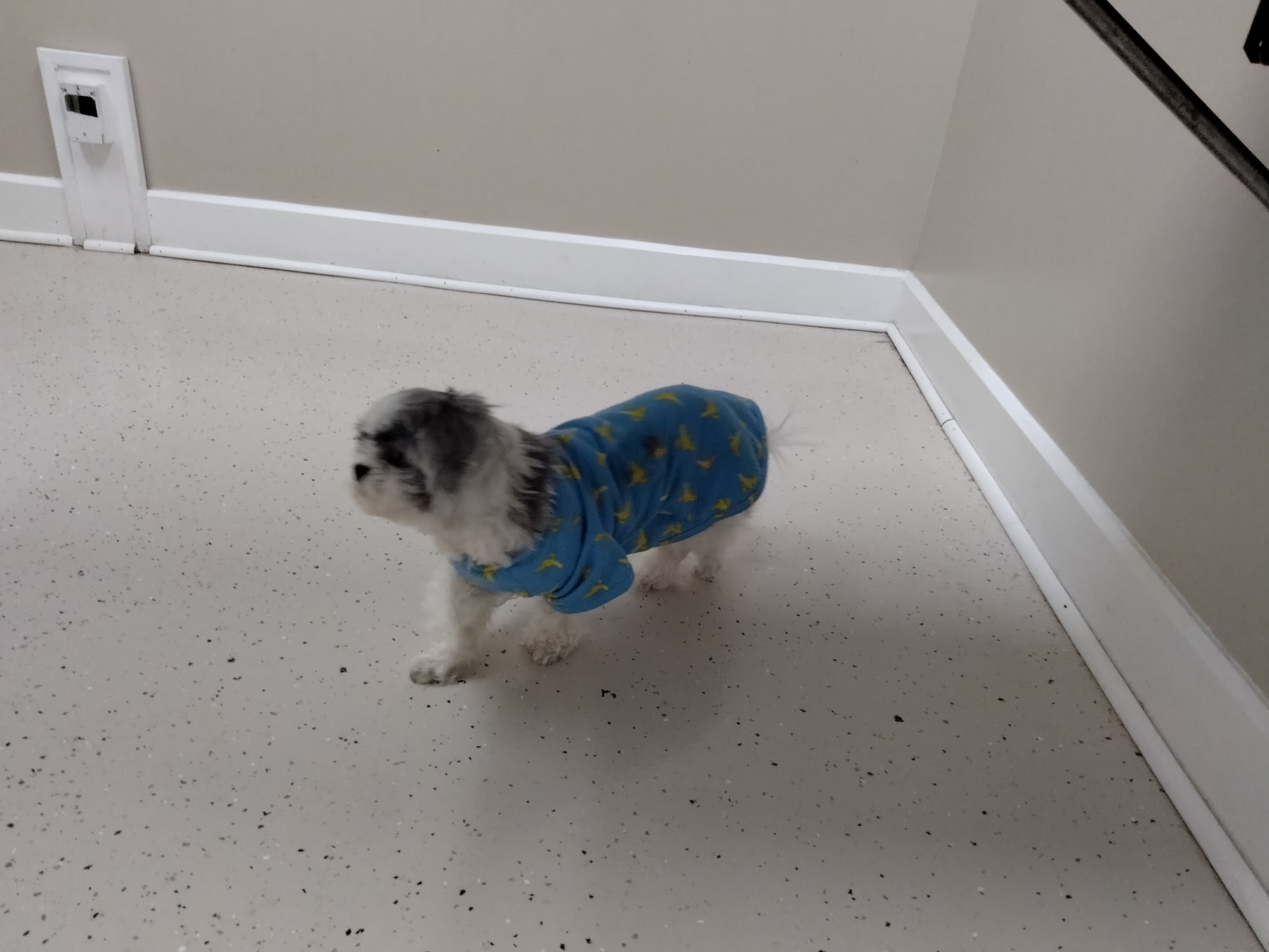 North Davidson Veterinary Hospital Lexington