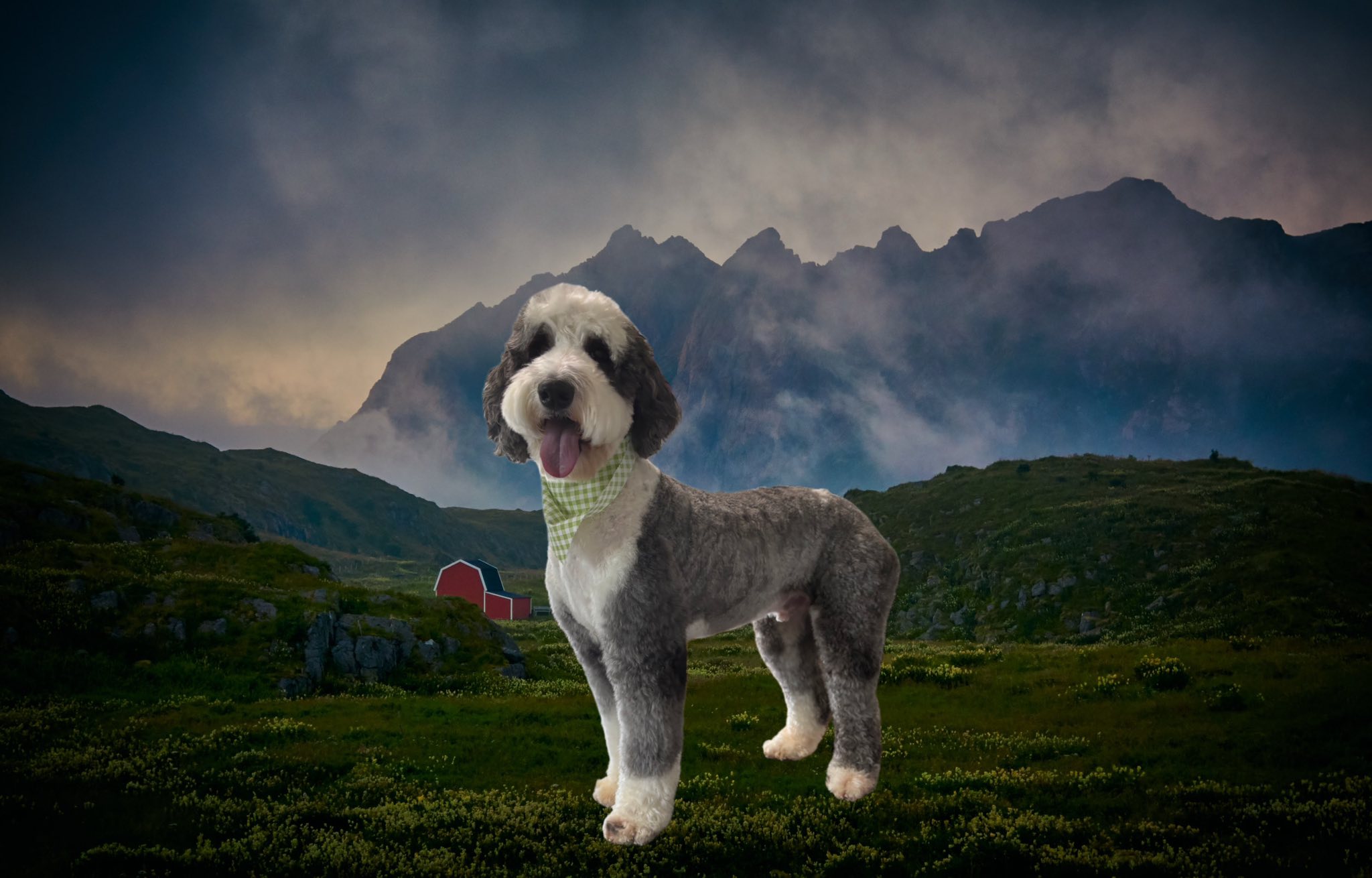 Clip'N Dip Dog Grooming Lexington