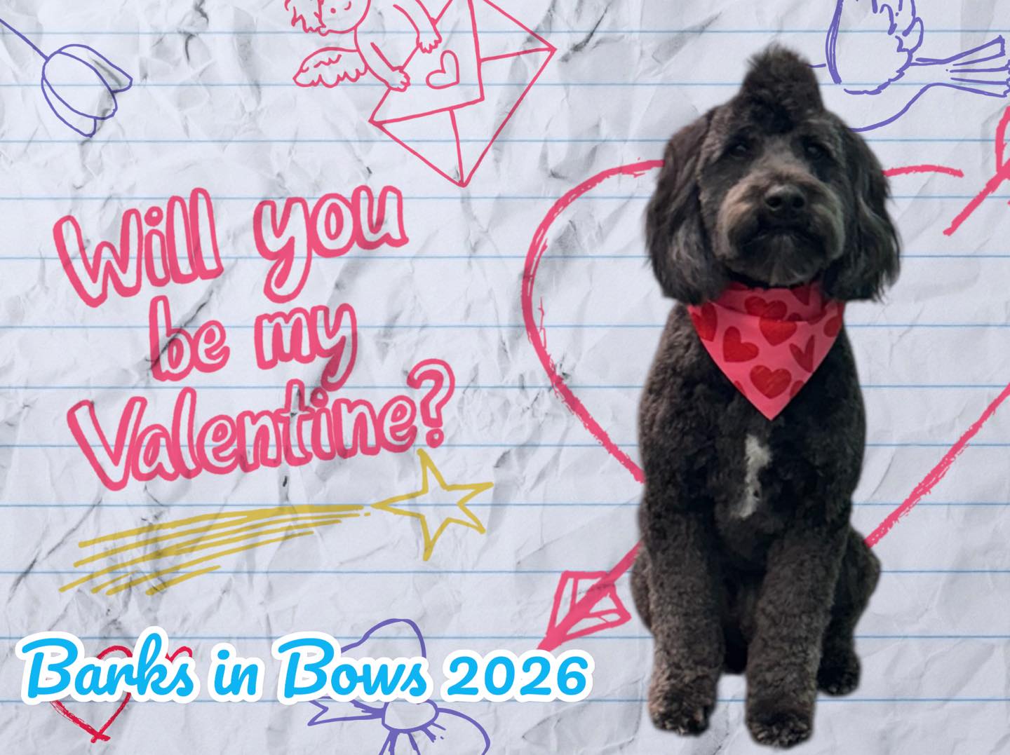 Brenda's Barks In Bows by Brittany Lillington