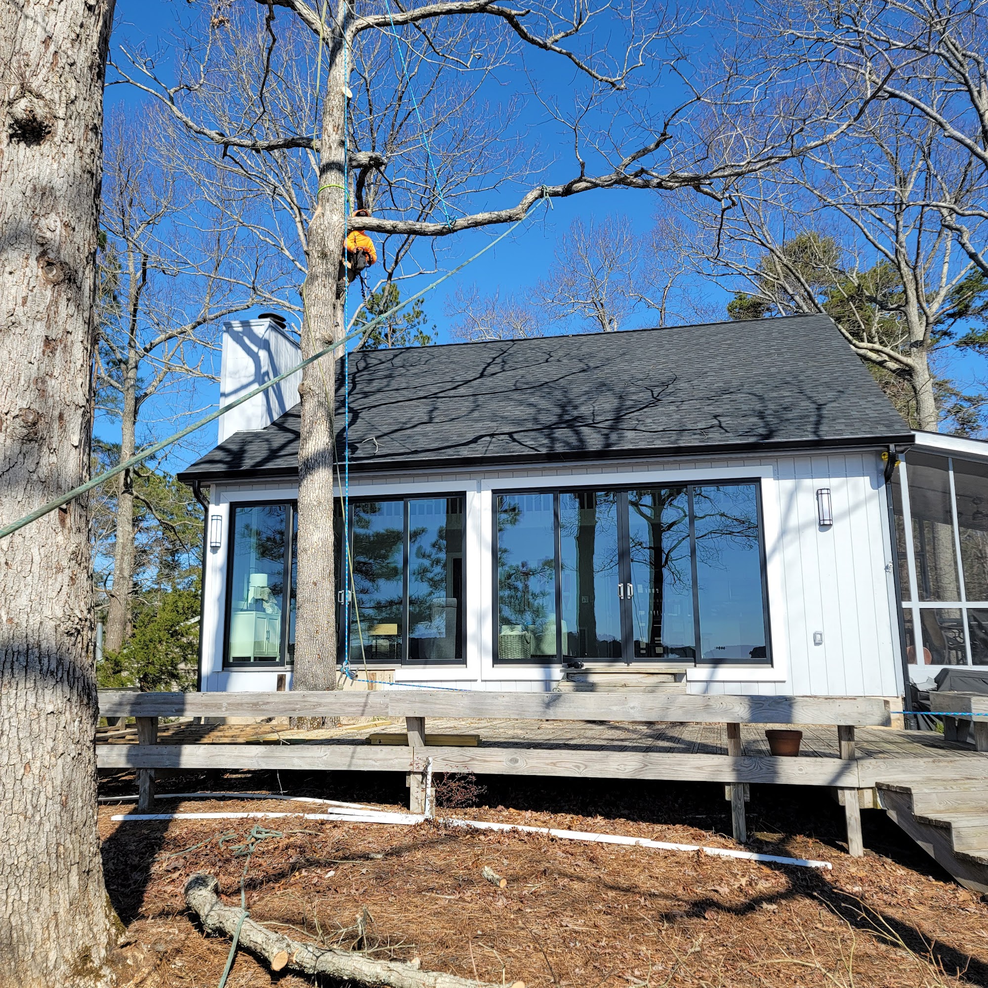 Platinum Cuts Tree Removal 134 E South Main St, Littleton North Carolina 27850