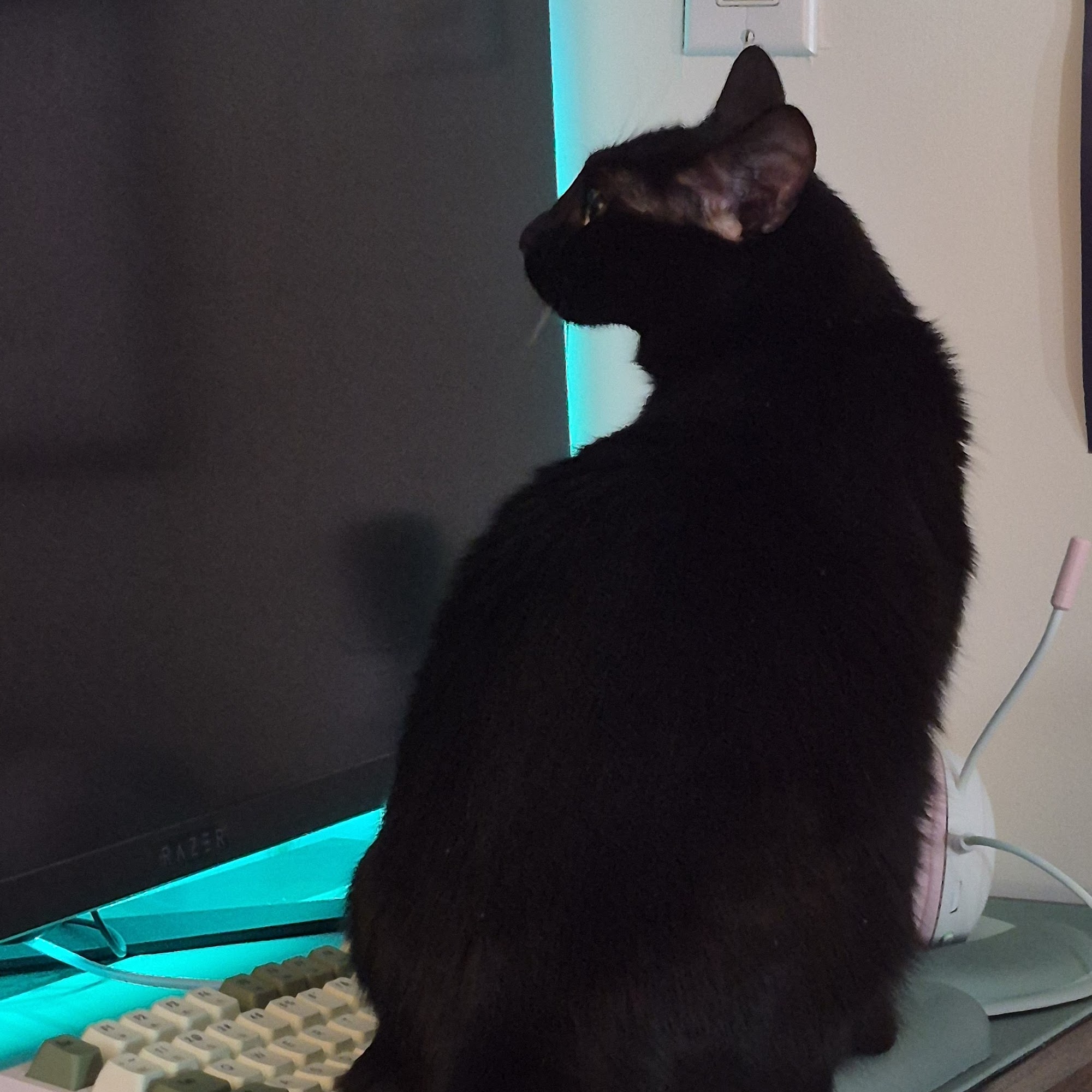 Louisburg Veterinary Hospital Louisburg