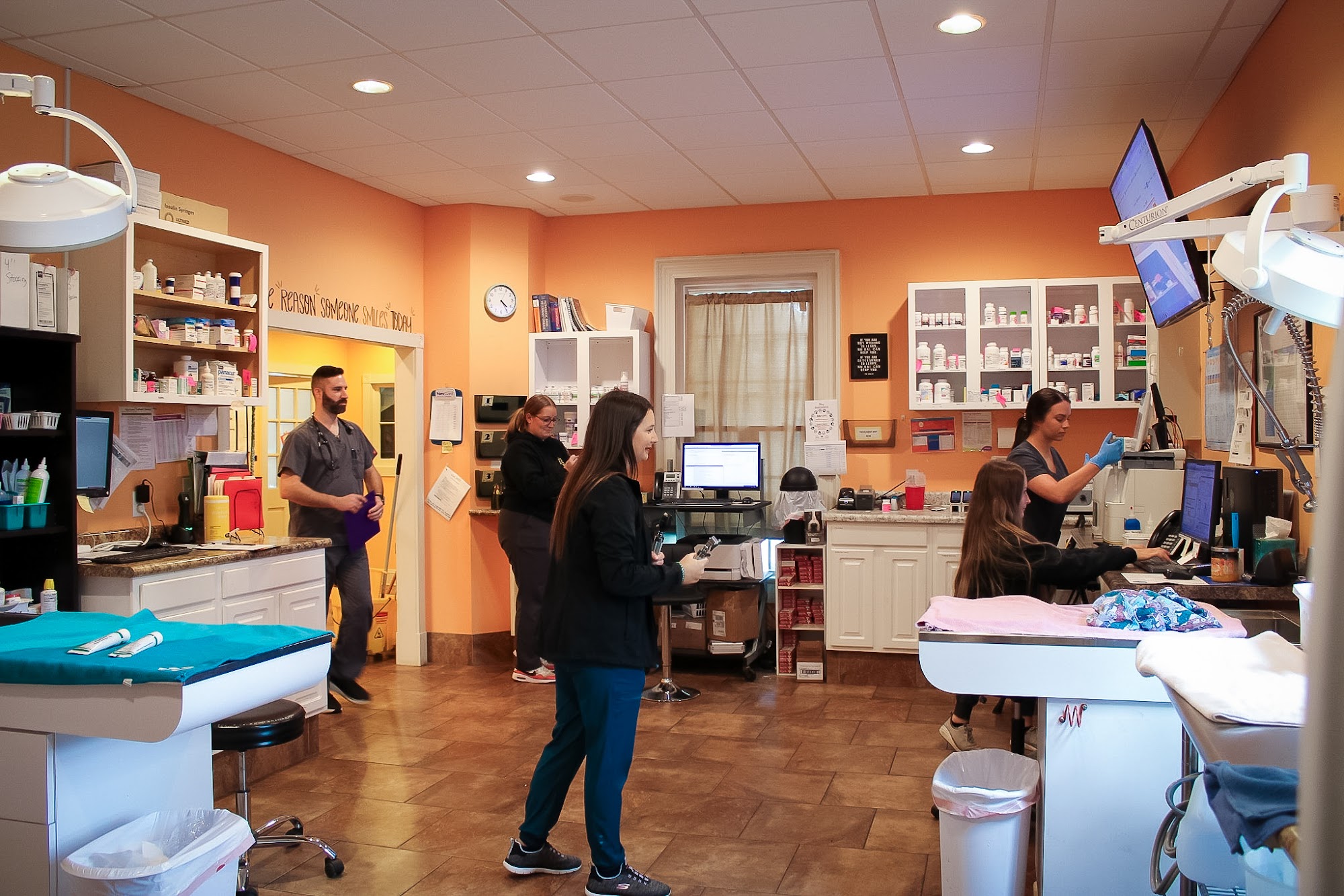 Louisburg Veterinary Hospital Louisburg