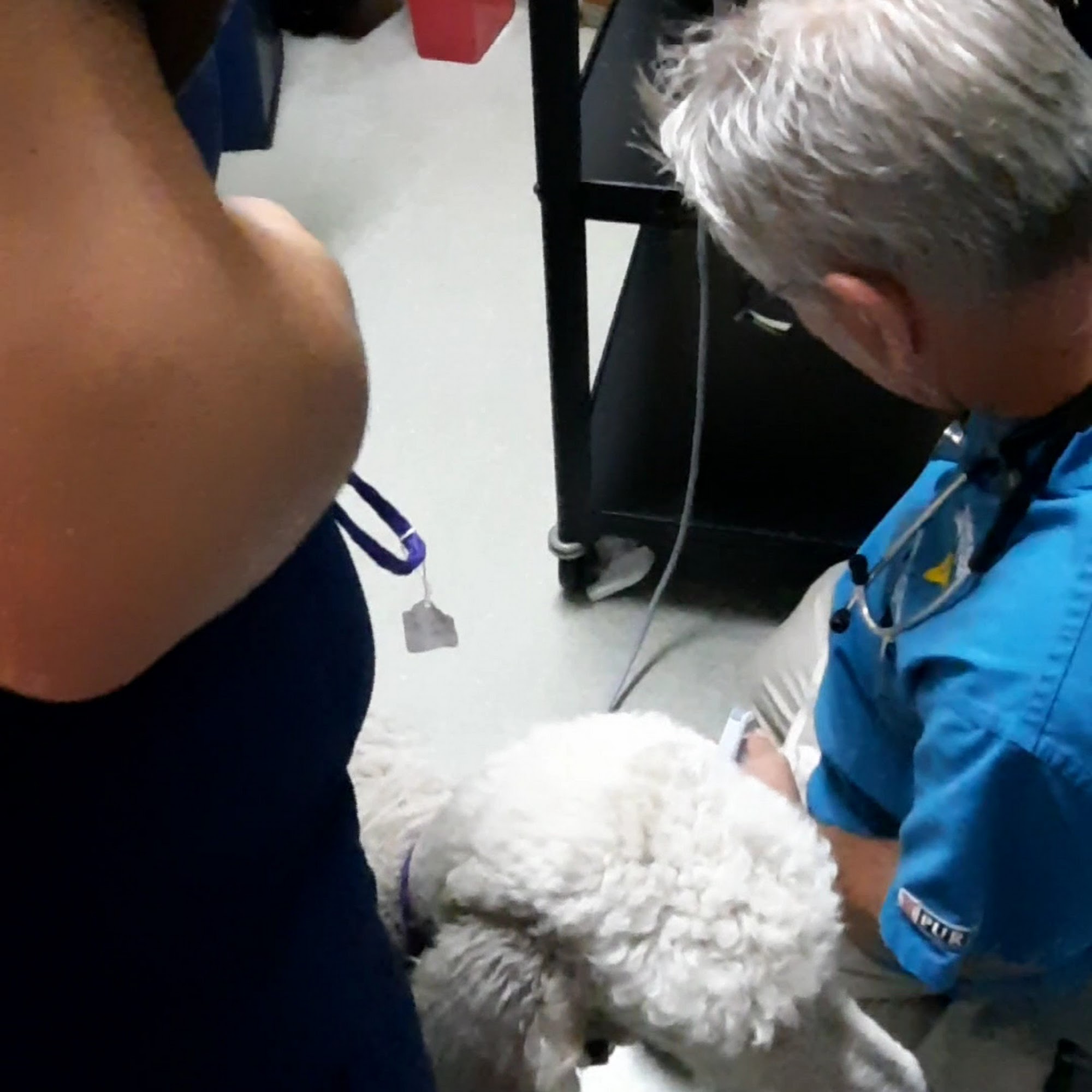 Southeastern Veterinary Hospital Pa Lumberton