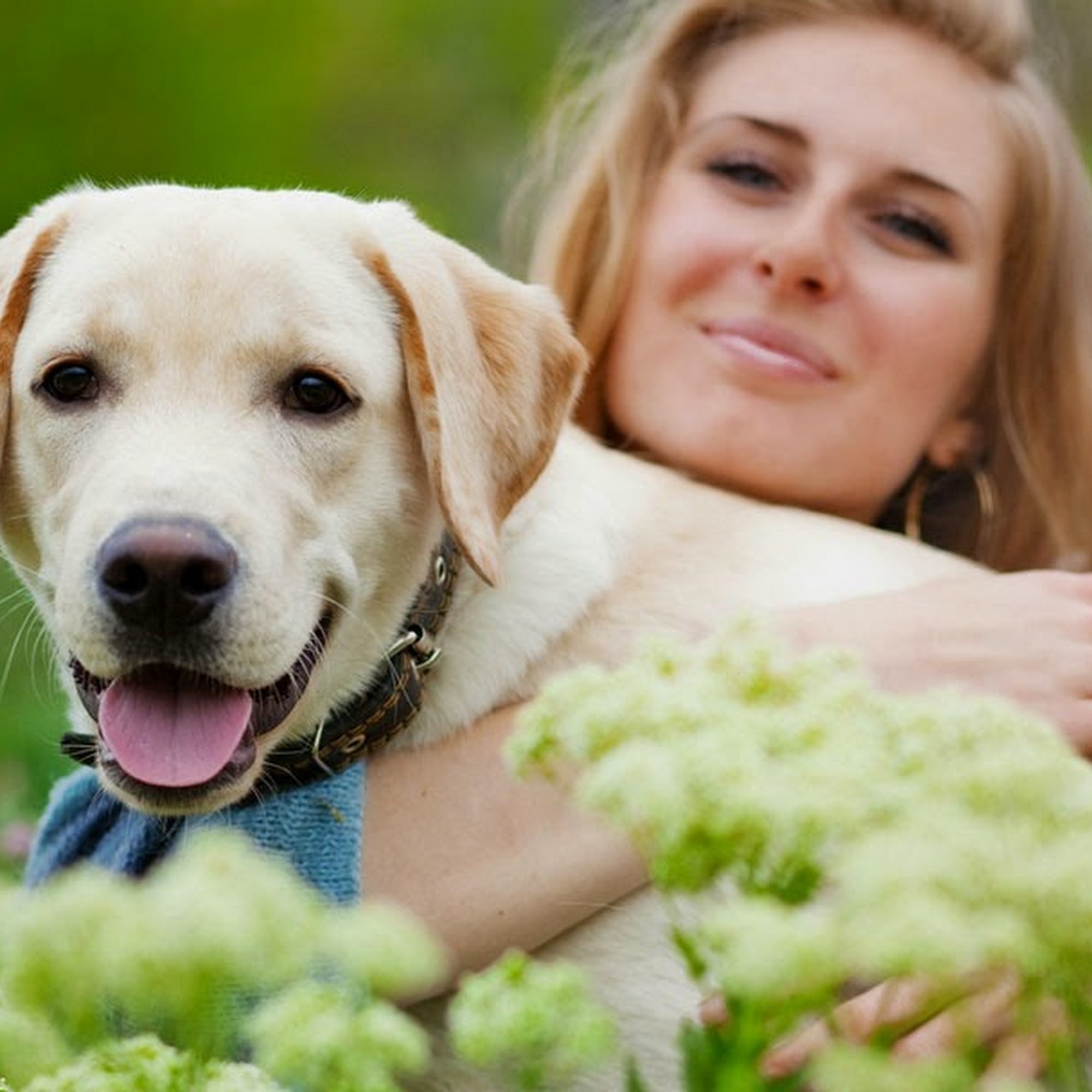 North End Veterinary Clinic Lumberton