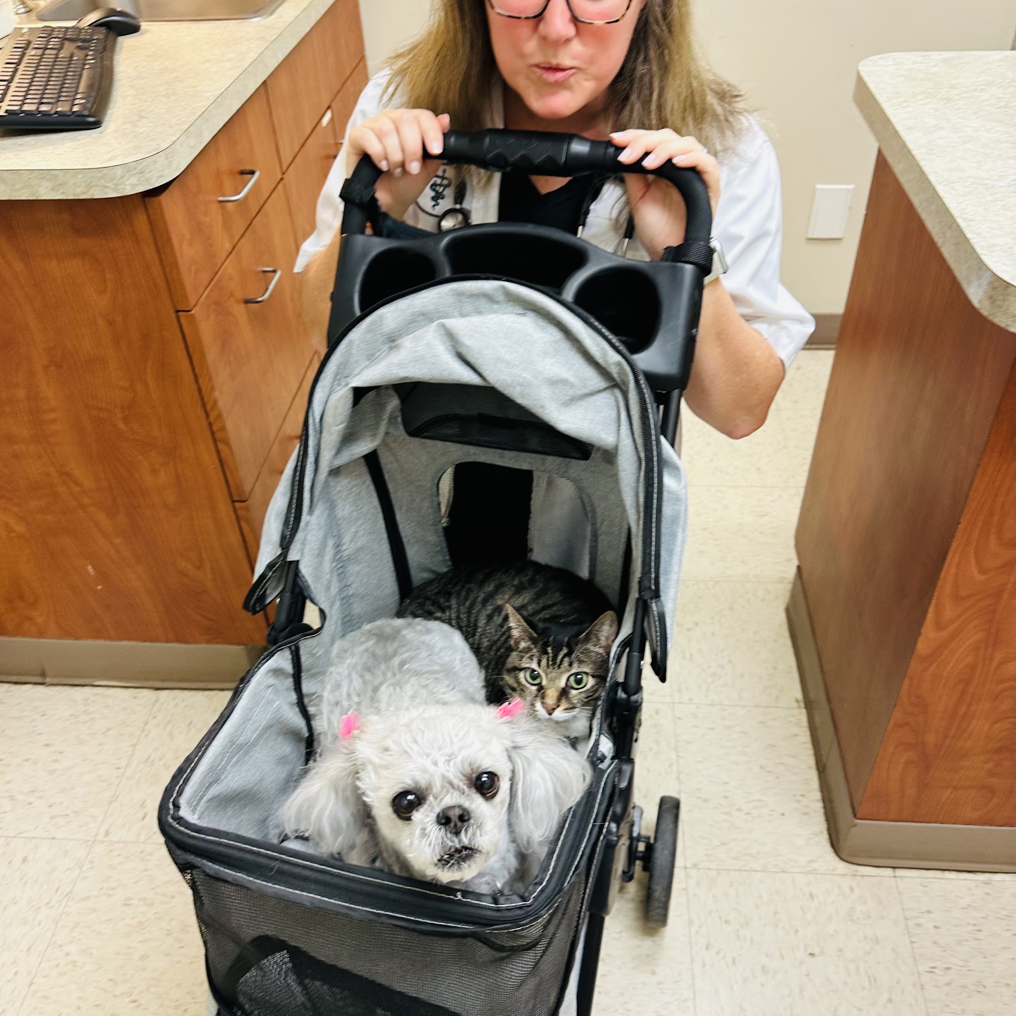 Matthews Animal Clinic Matthews