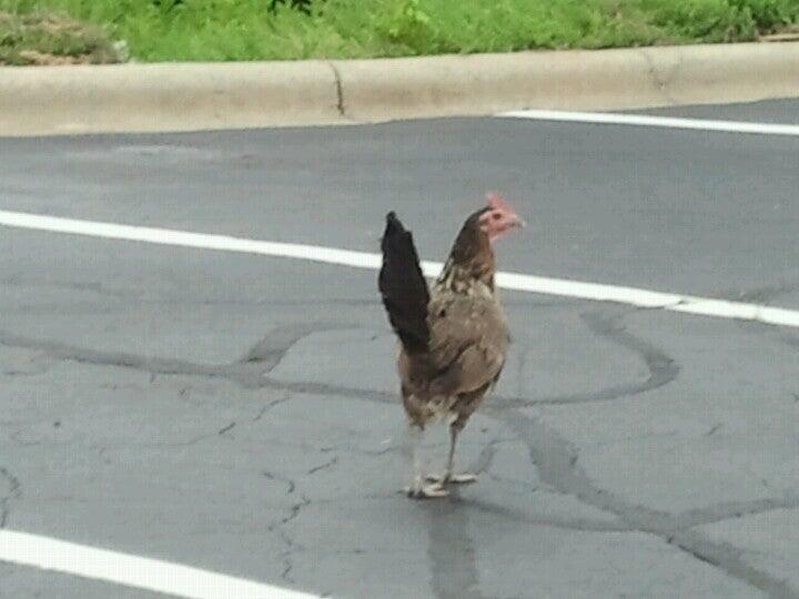 Photo credit: nextdoor