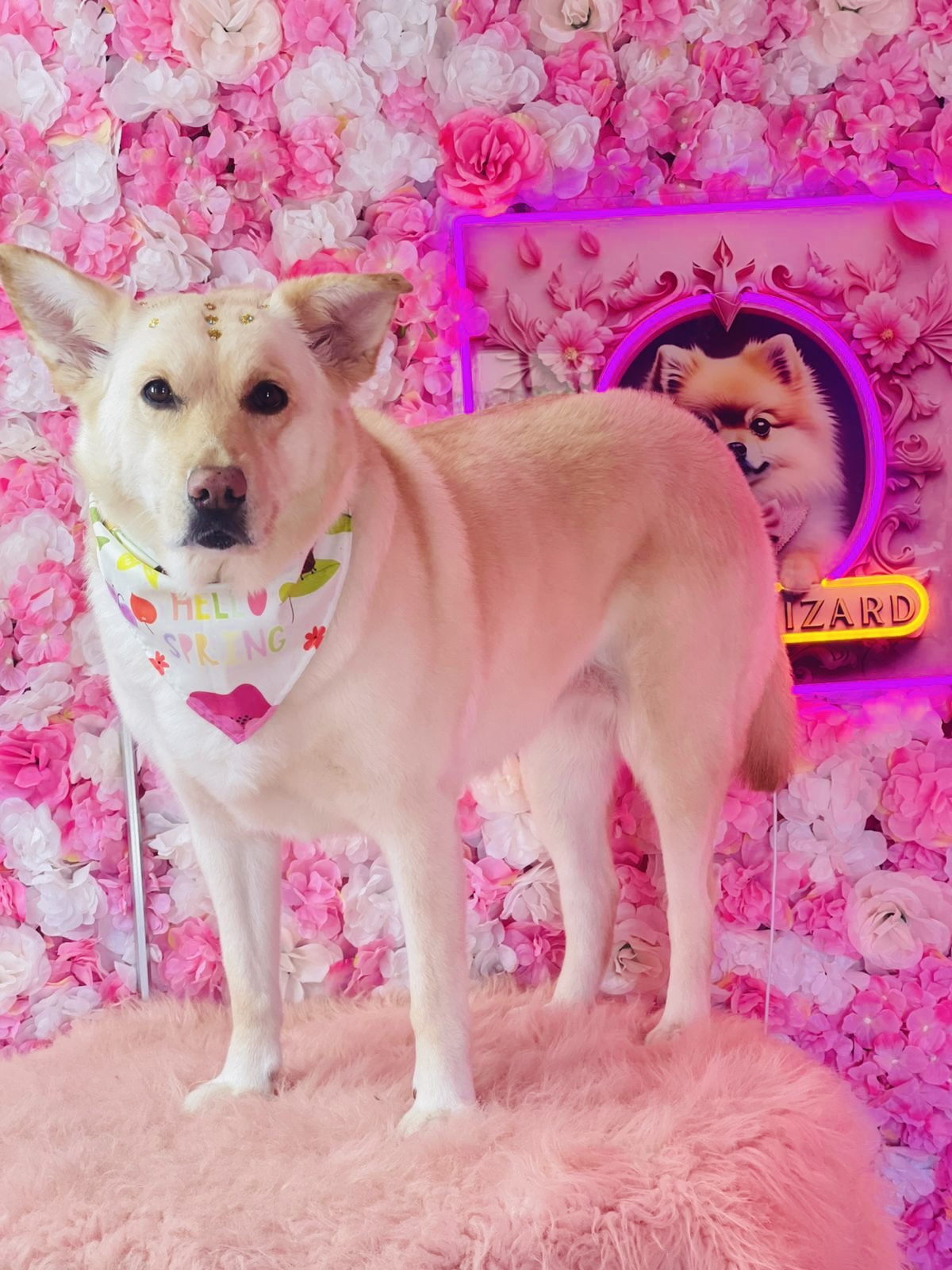 Photo credit: bestprosintown