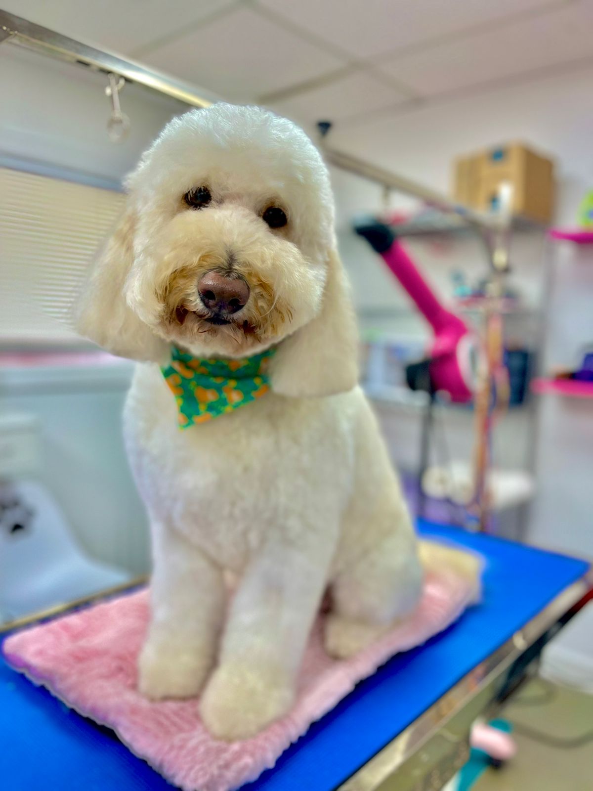 Photo credit: bestprosintown