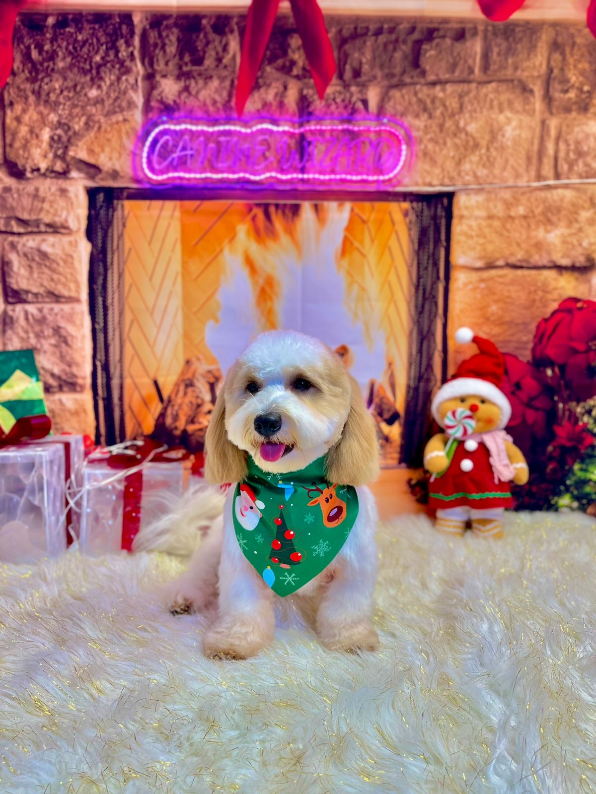 Photo credit: bestprosintown