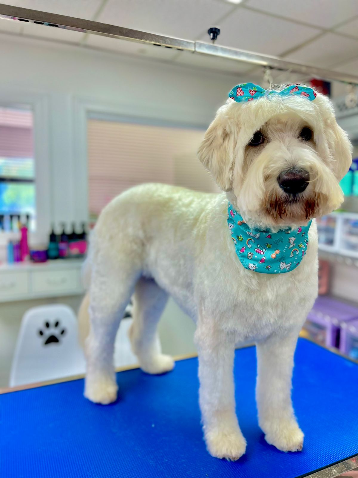 Photo credit: bestprosintown