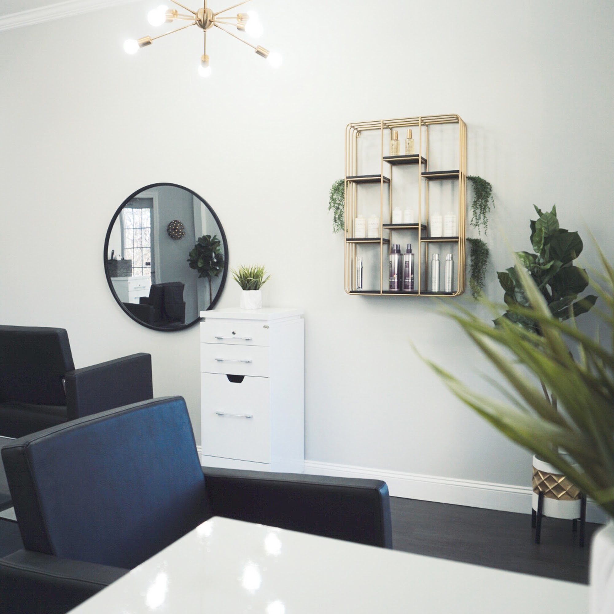 Chop Theory Salon