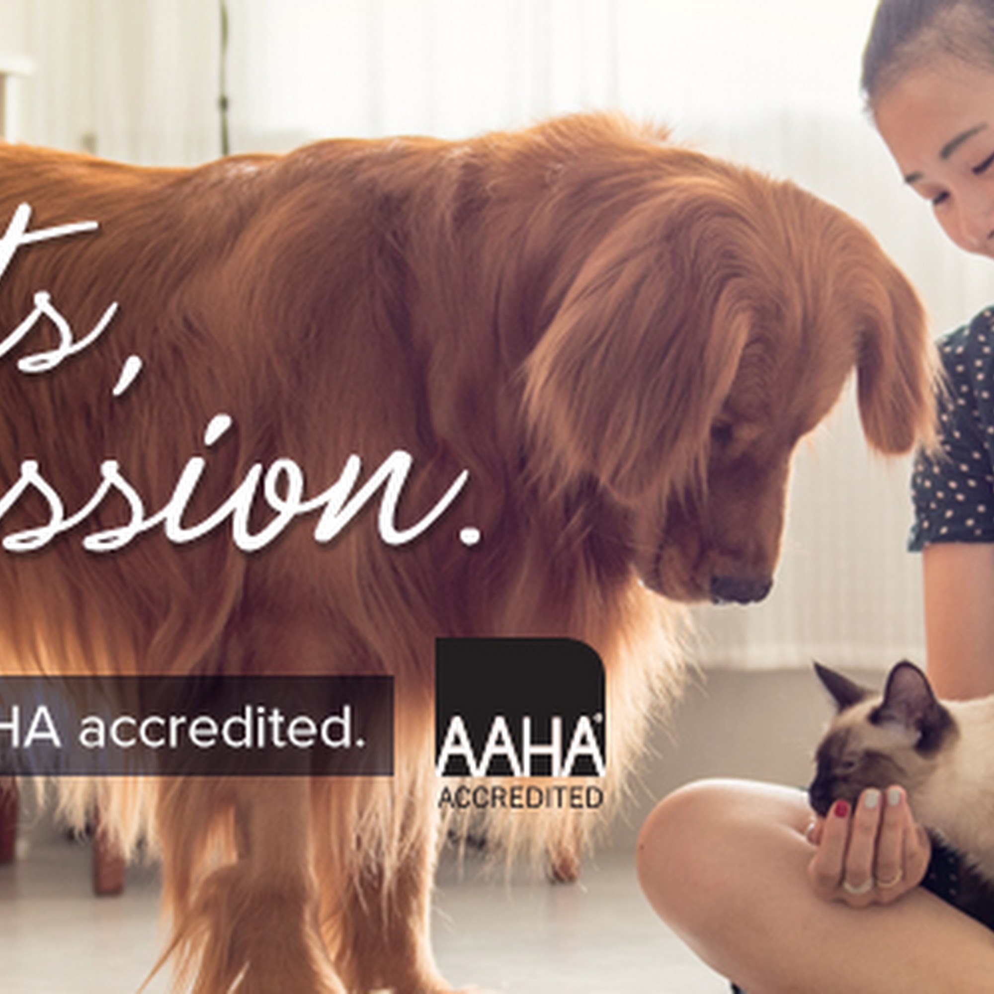 Creekside Animal Clinic, PA Mebane