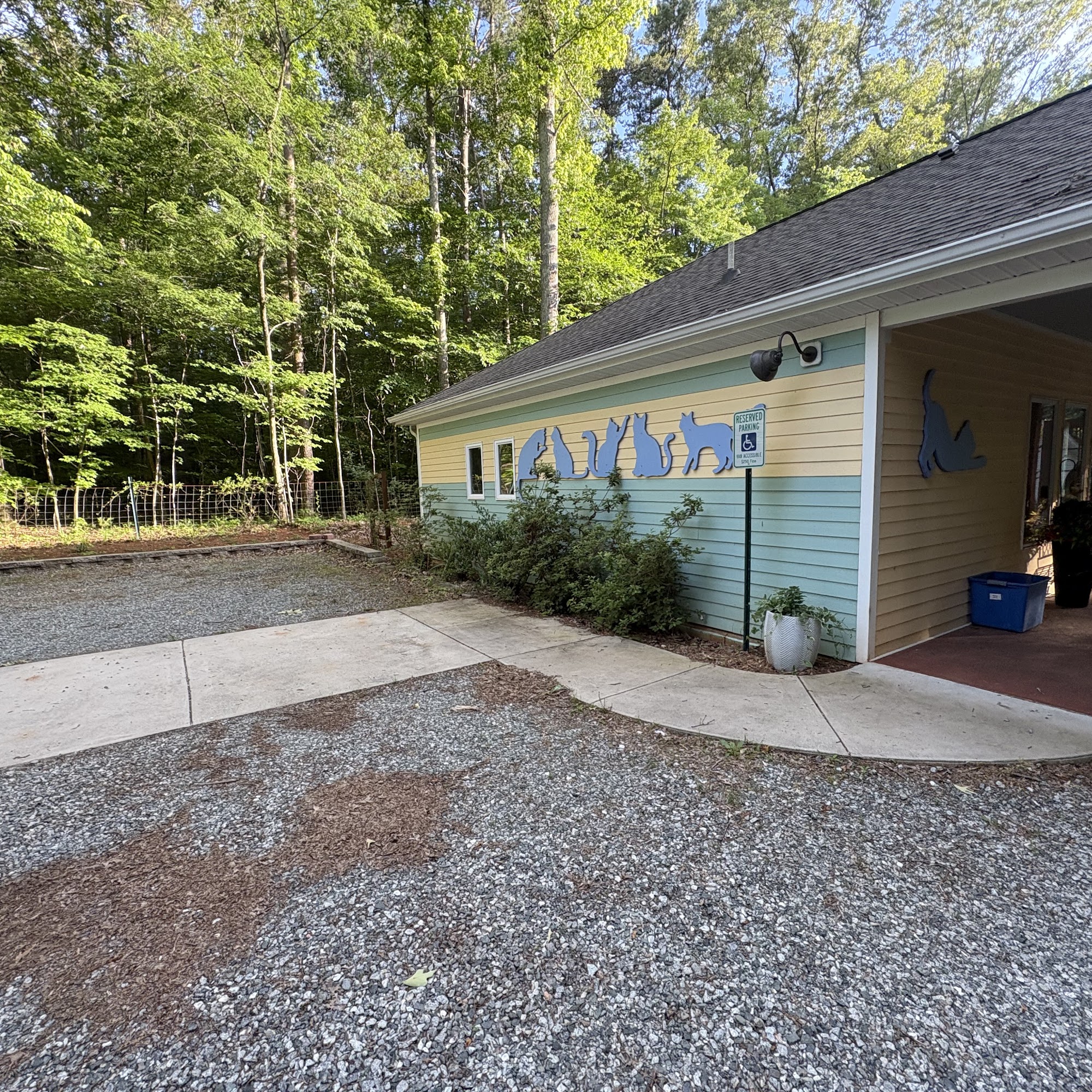 The Laid Back Cat Mebane