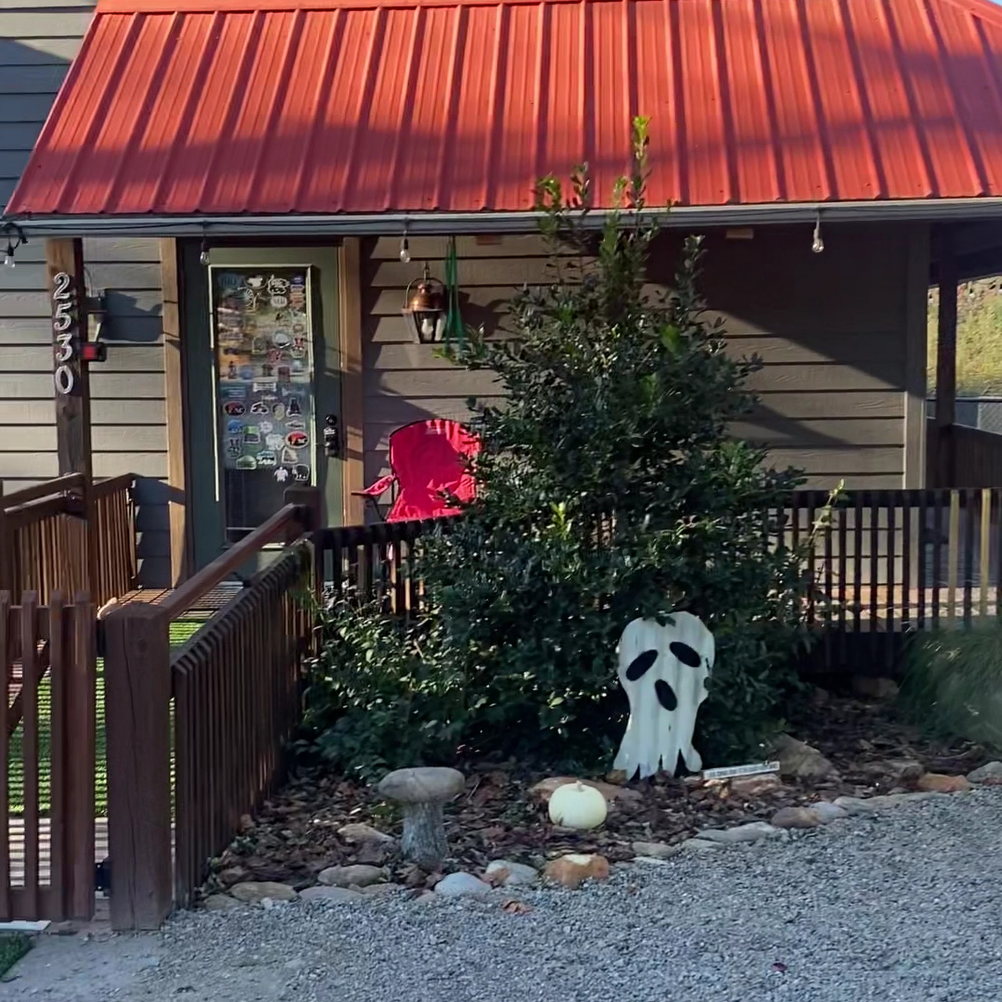 Mills River Dog Camp Mills River