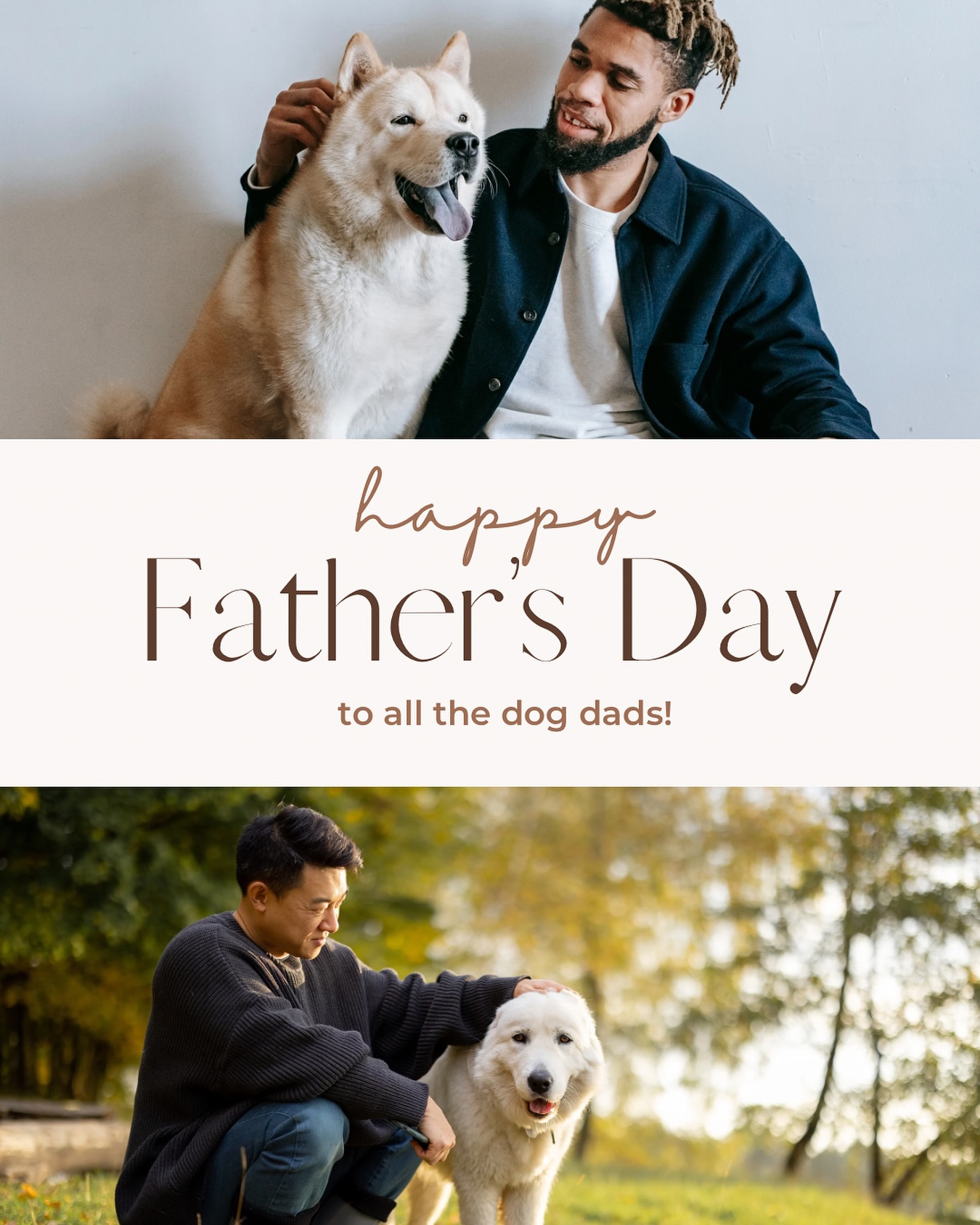 Mills River Dog Camp Mills River