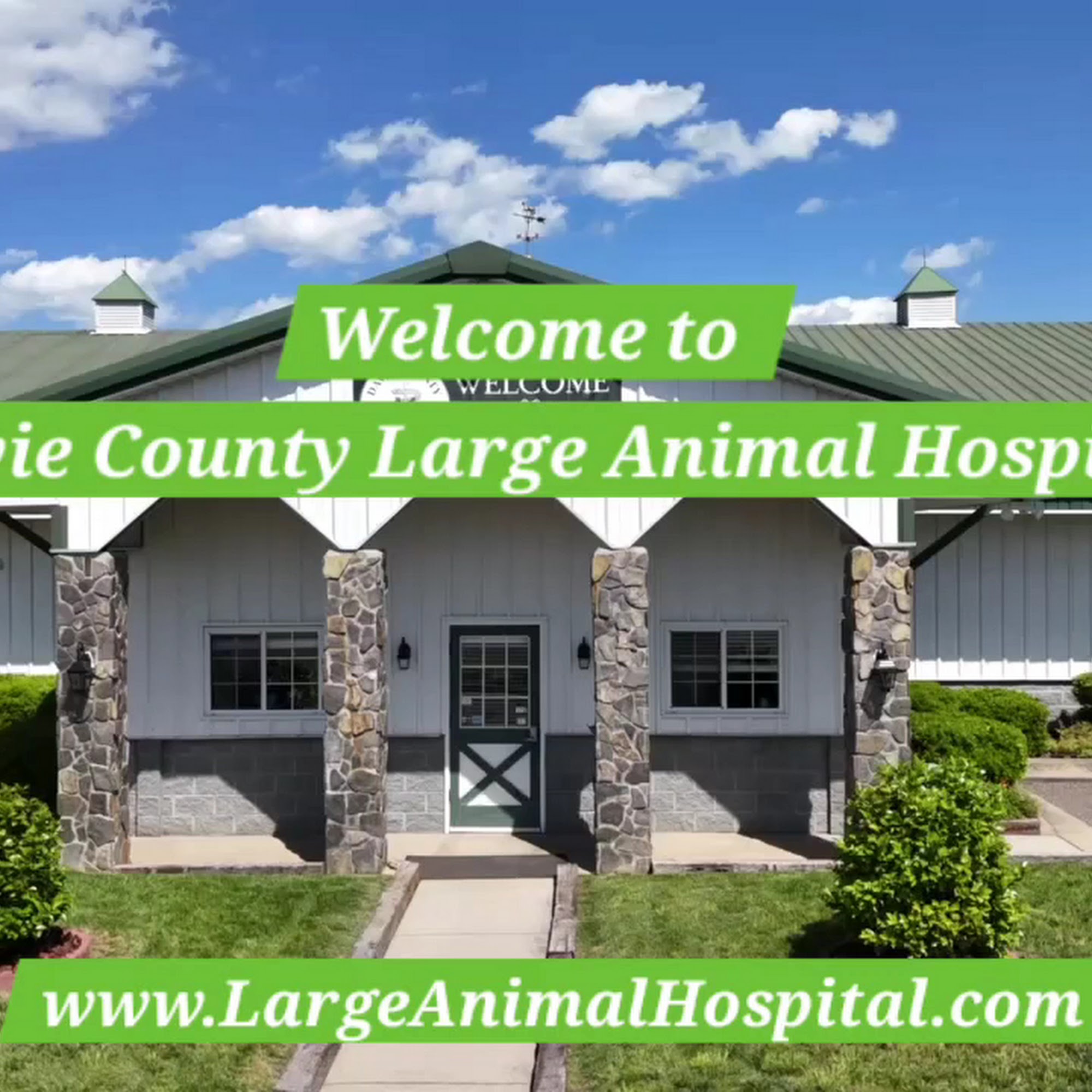 Davie County Large Animal Mocksville