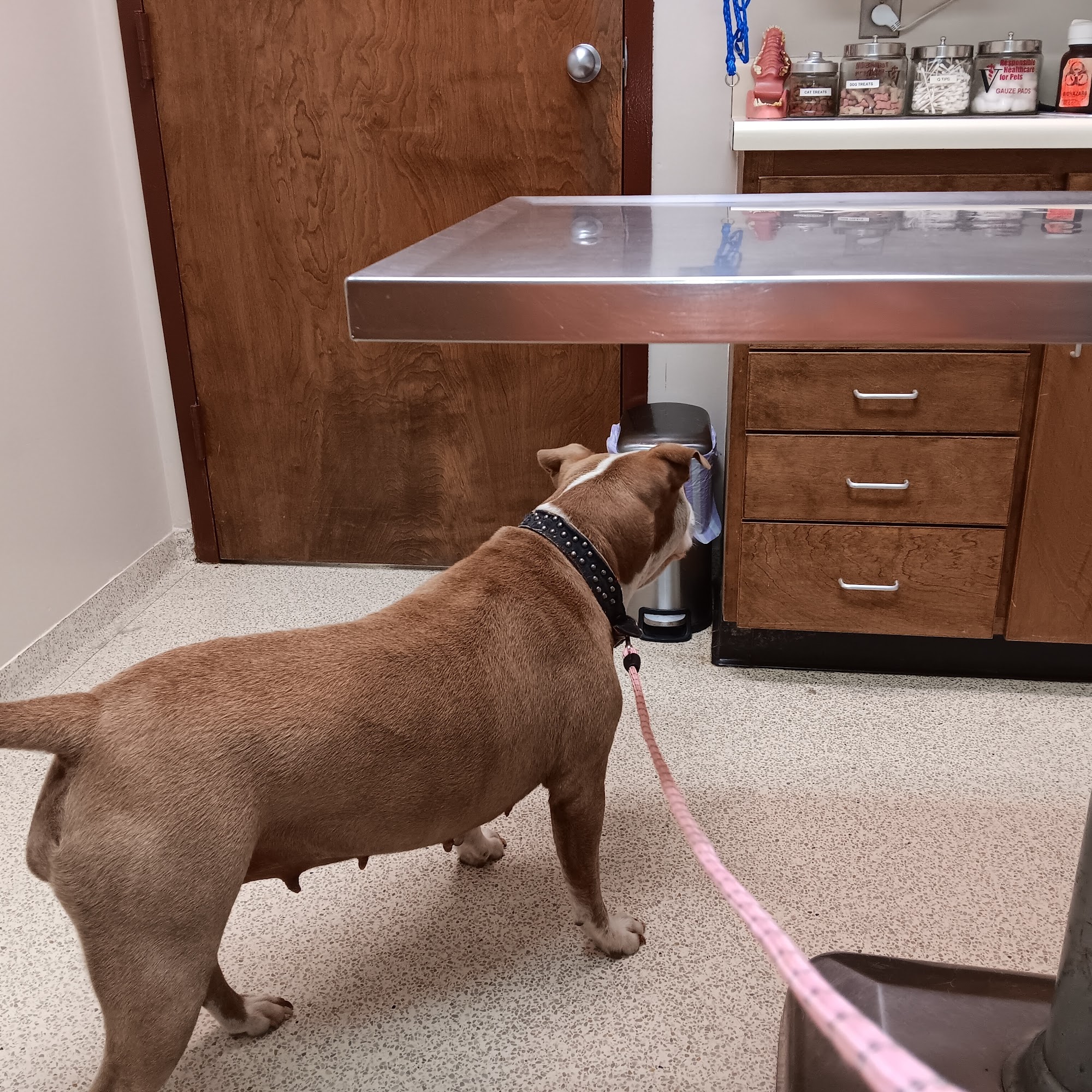 Valley Animal Clinic: Williams Charles F DVM Mocksville