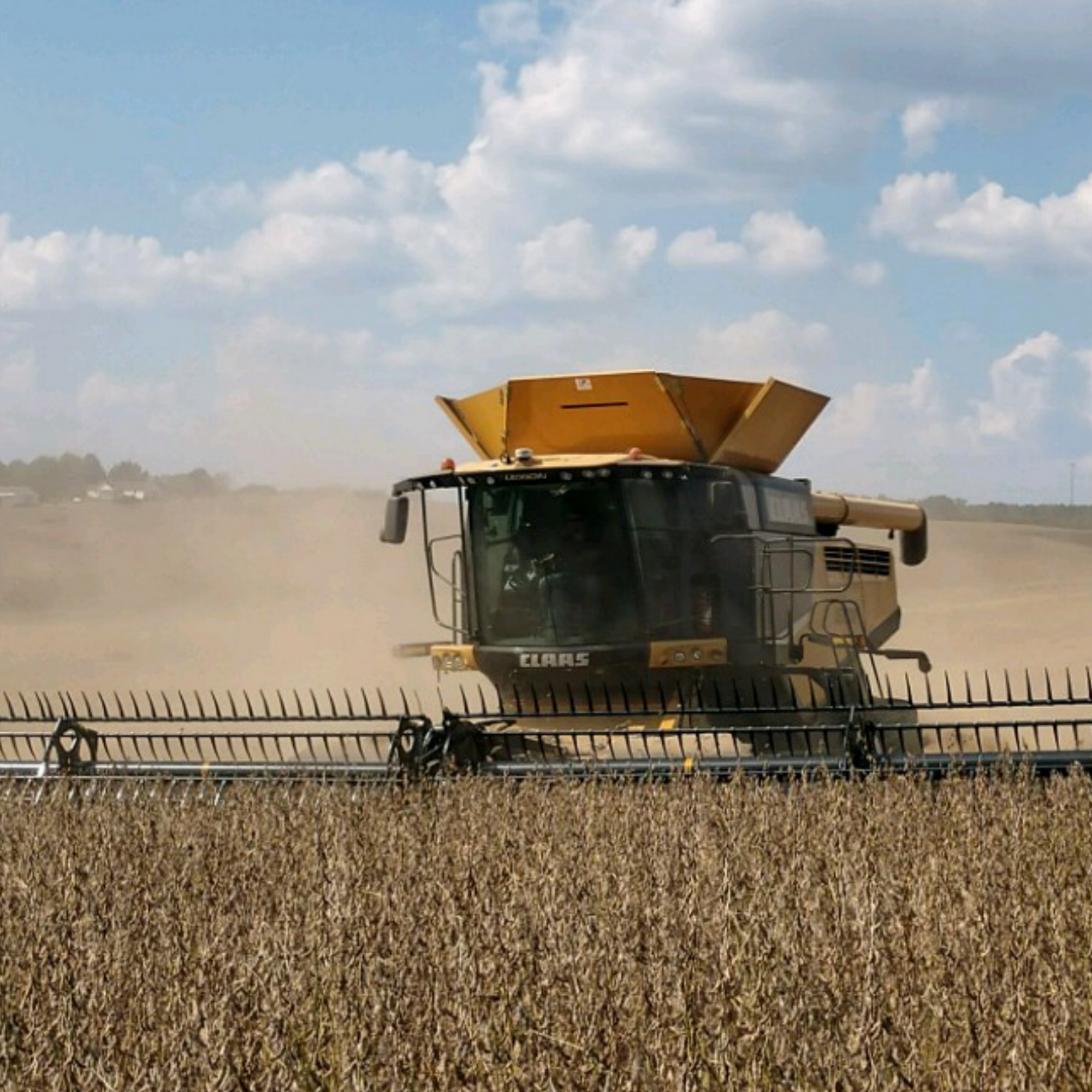 Cox Brothers Farms Monroe