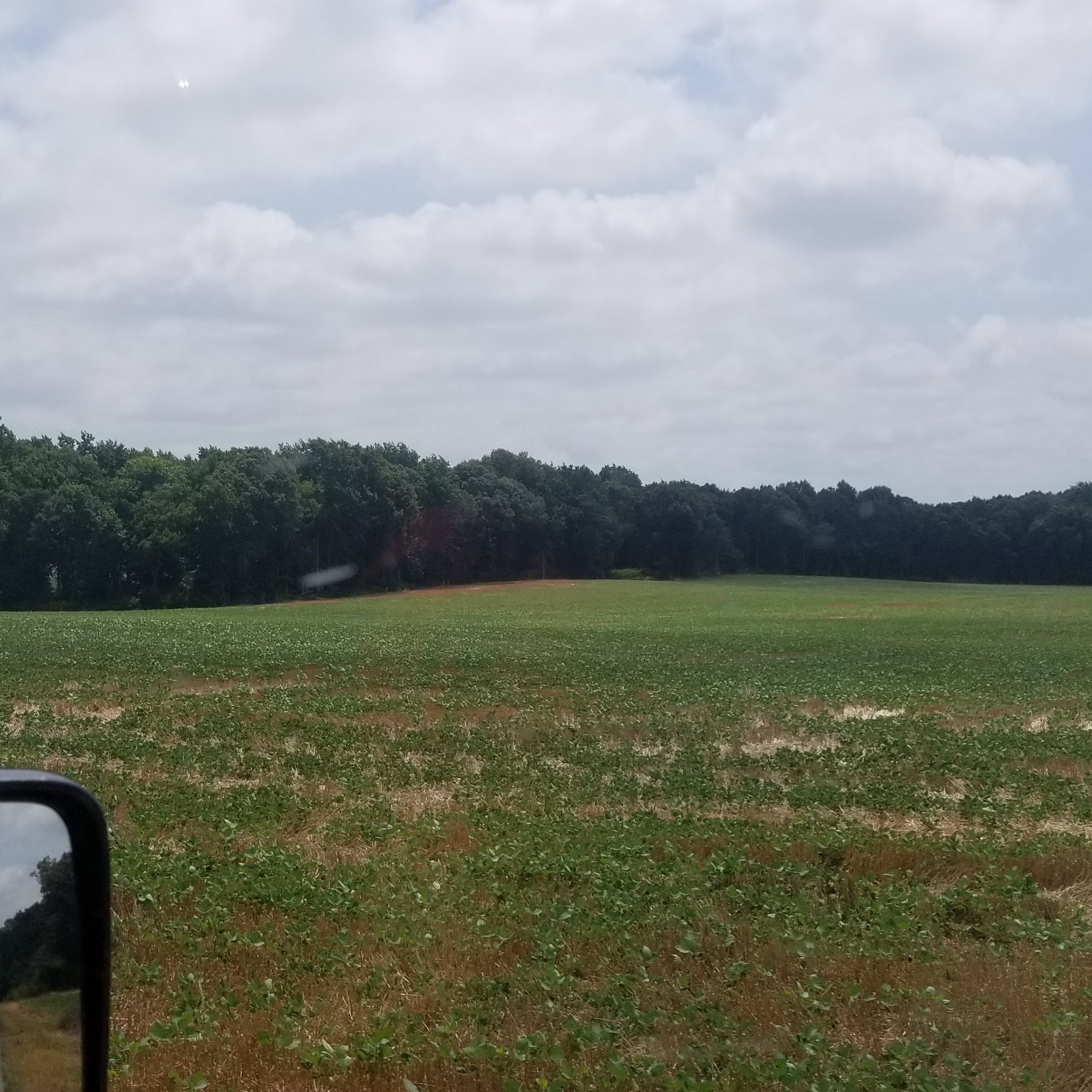 Simpson's Eggs Inc Monroe