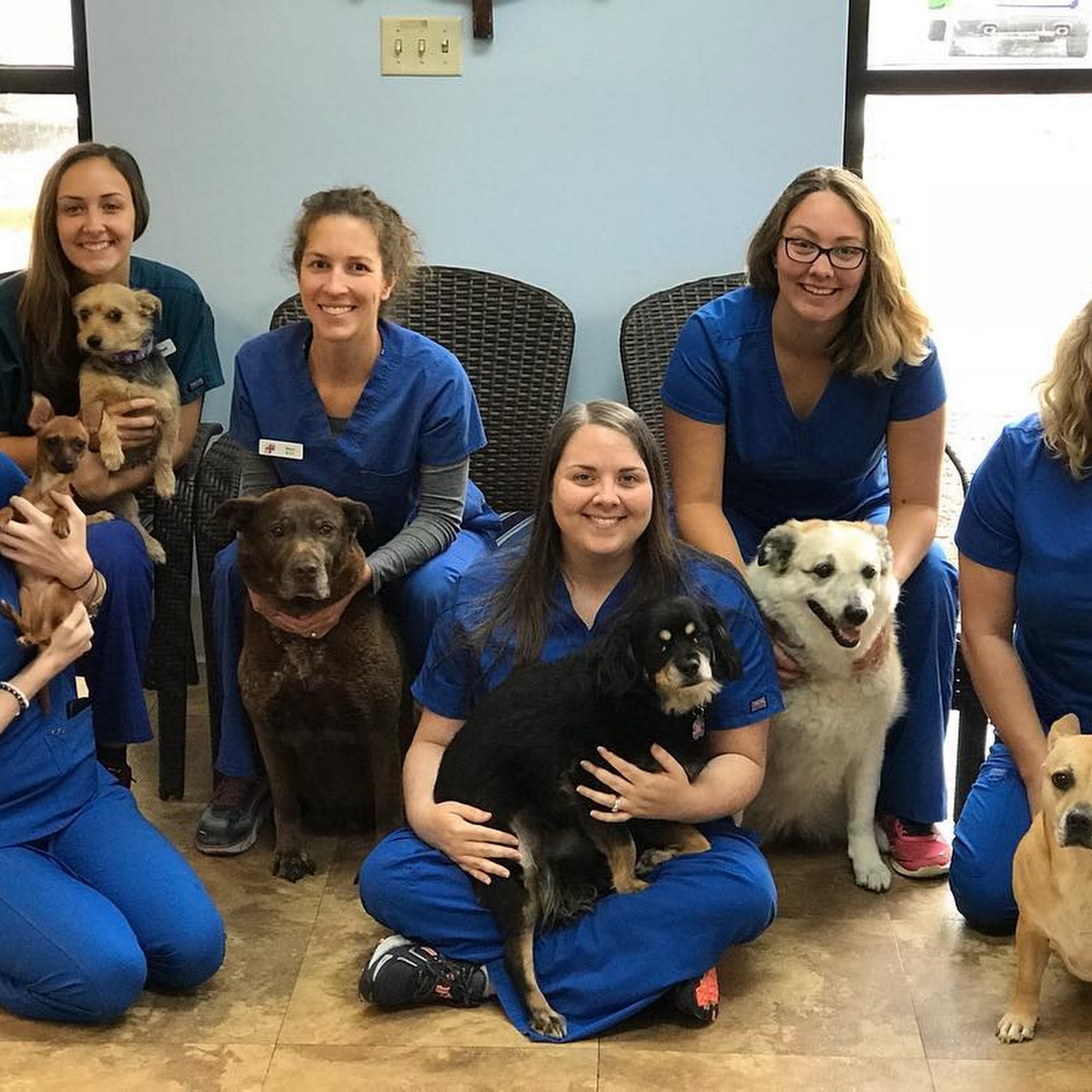 Village Animal Hospital Mooresville